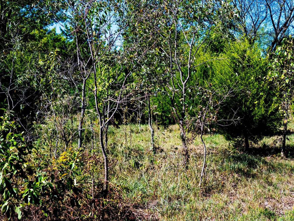 1 N 52 Avenue W Property Photo 20