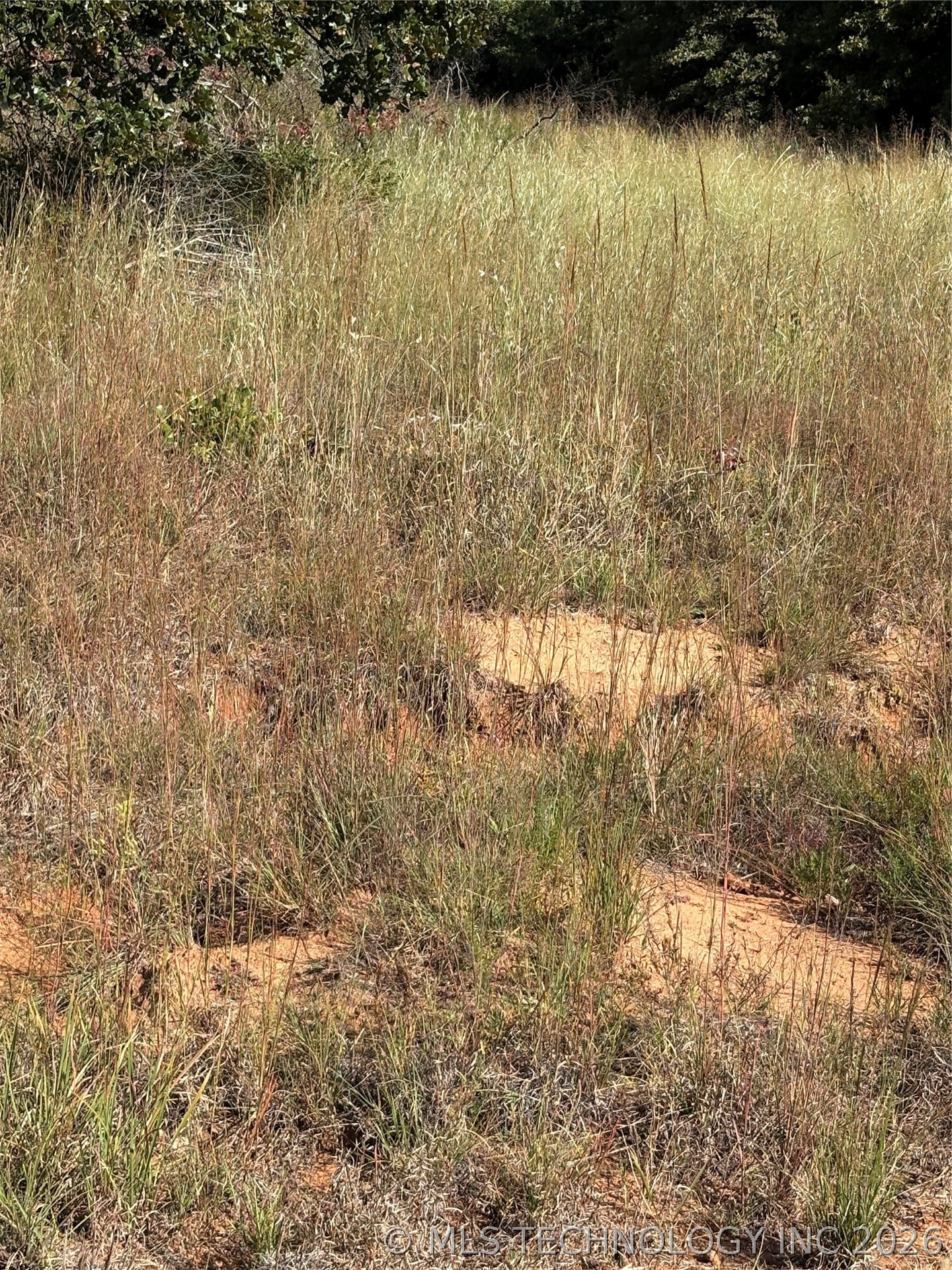 2612 S Mckenzie Property Photo 5