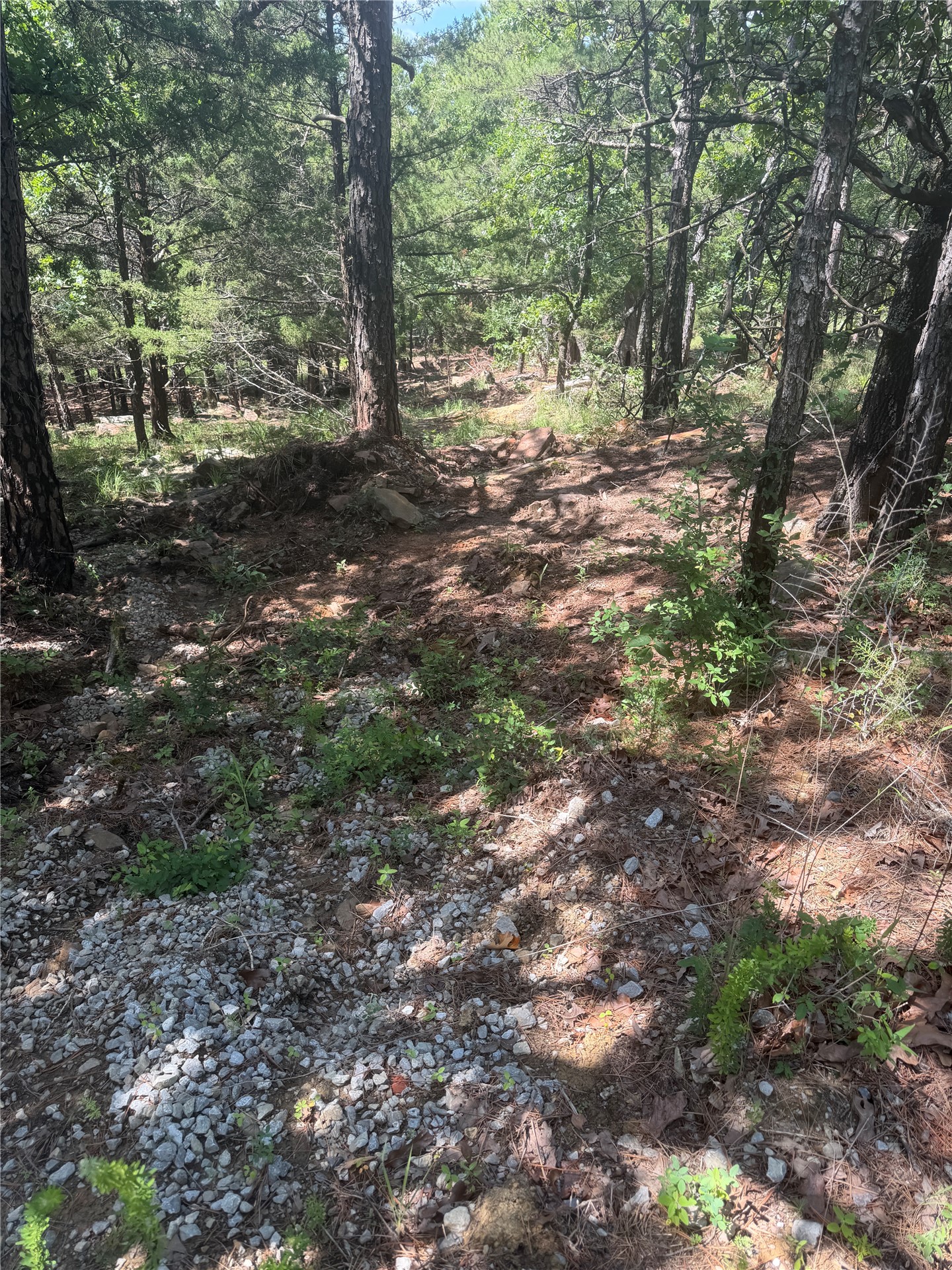 0001 N 417 Road Property Photo 2