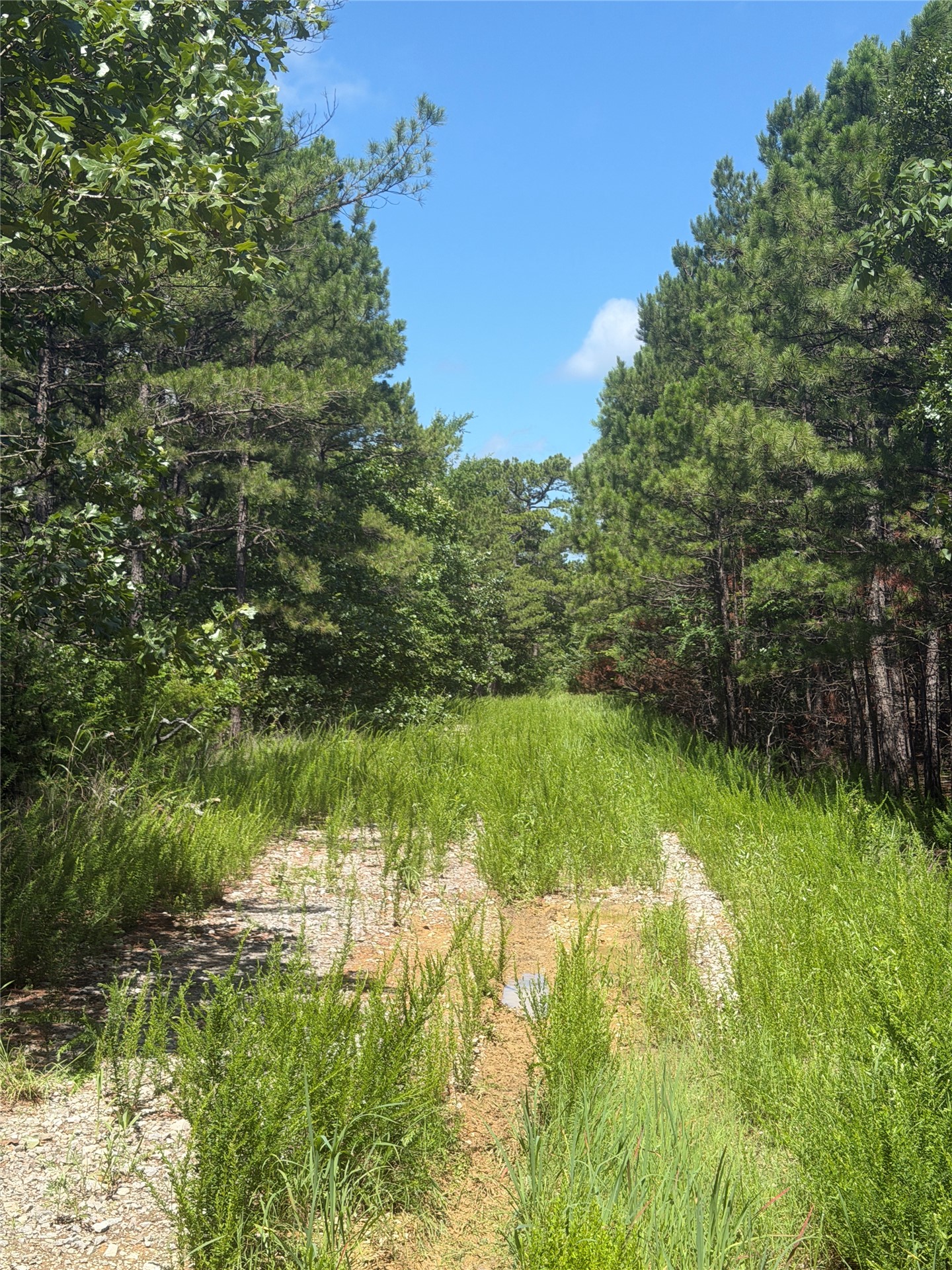 0001 N 417 Road Property Photo 3