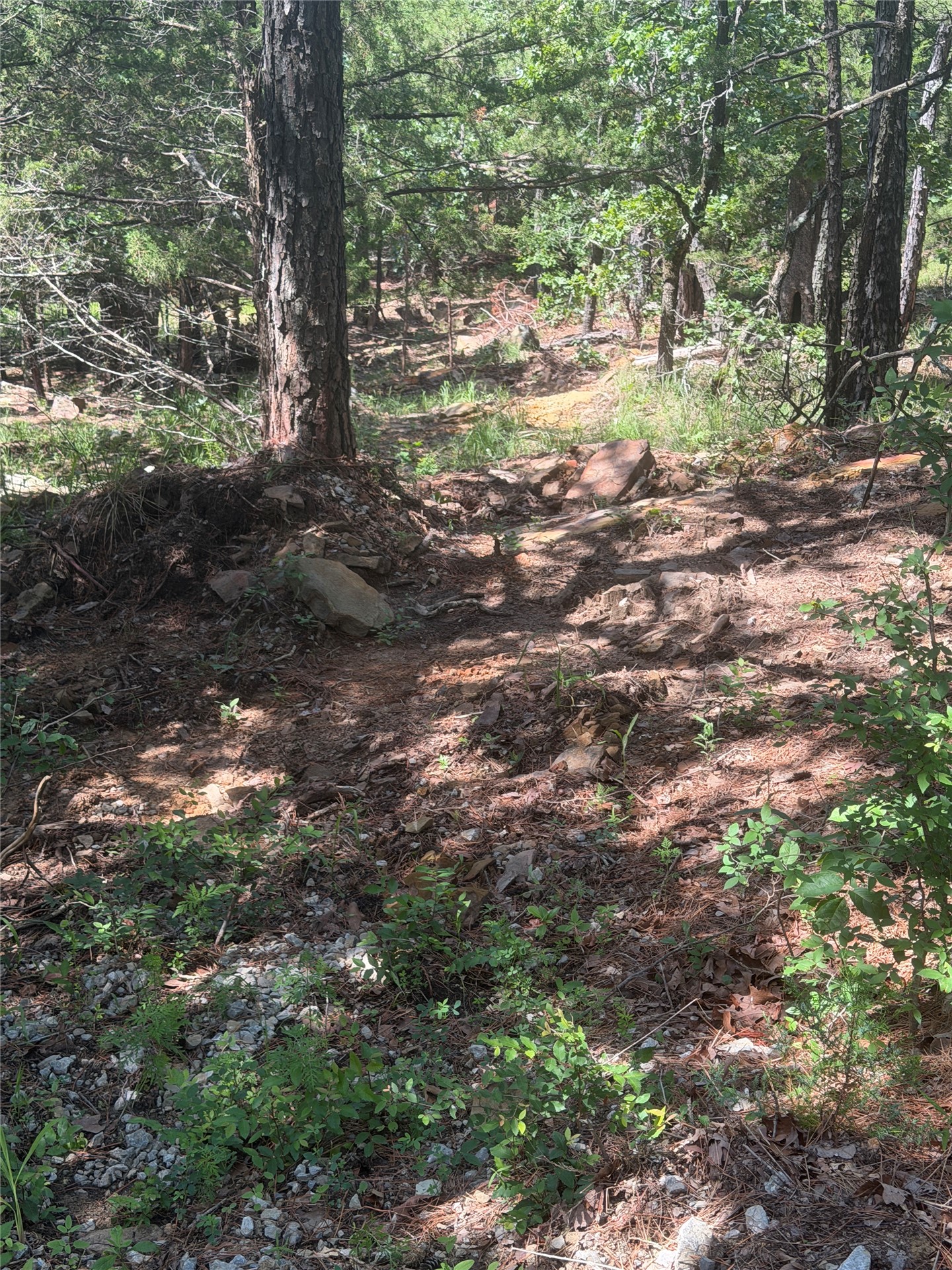 0001 N 417 Road Property Photo 5