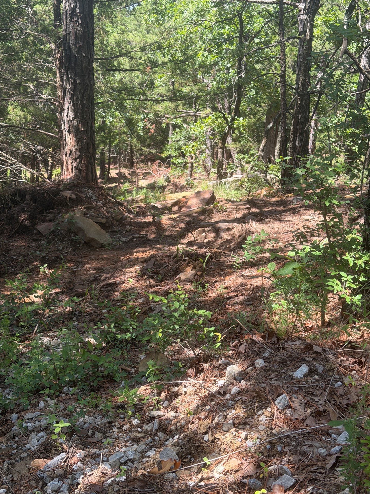 0001 N 417 Road Property Photo 11