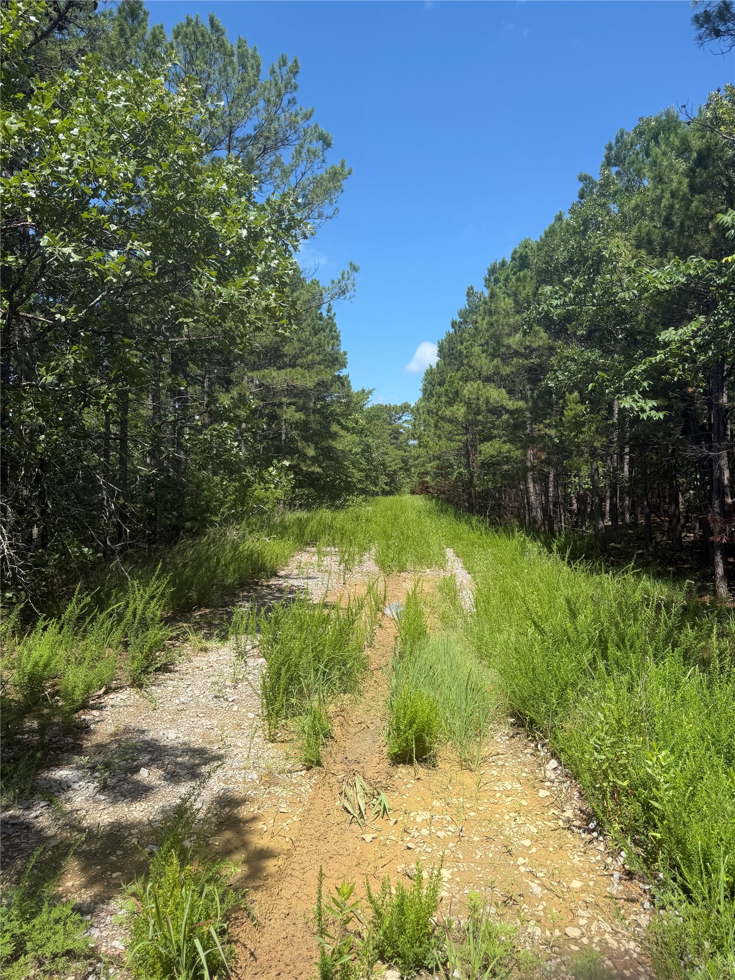 0001 N 417 Road Property Photo 13