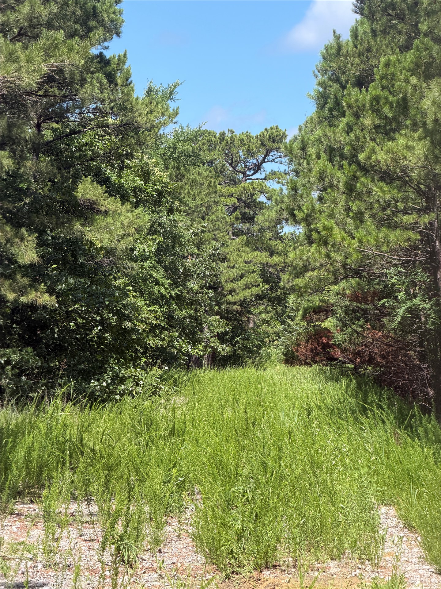 0001 N 417 Road Property Photo 14