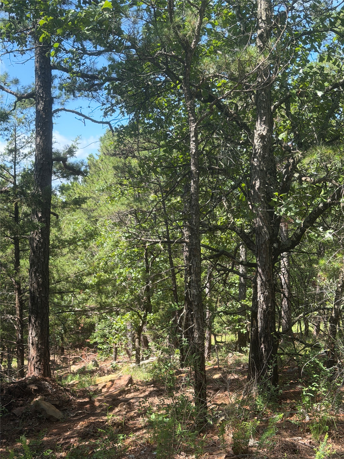 0001 N 417 Road Property Photo 16