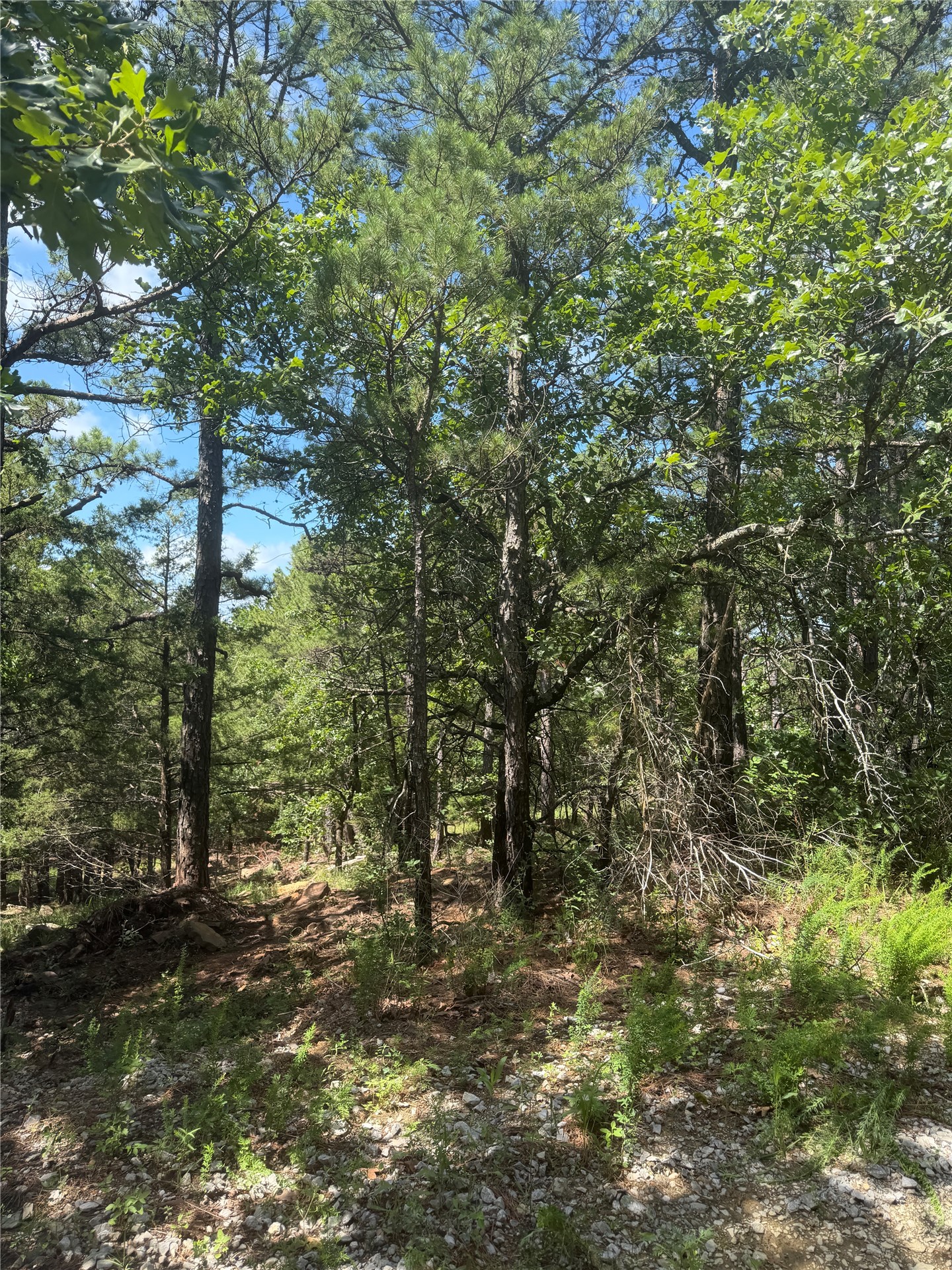 0001 N 417 Road Property Photo 17