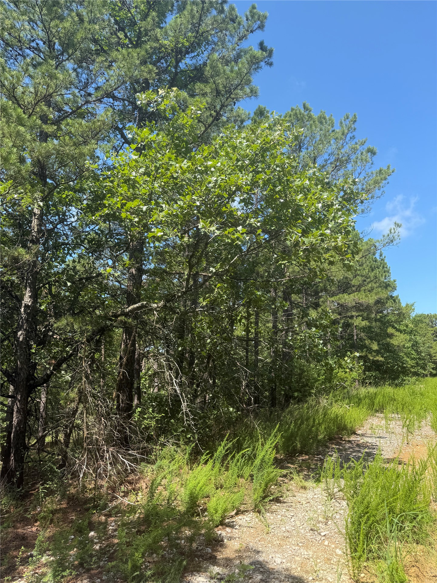 0001 N 417 Road Property Photo 18