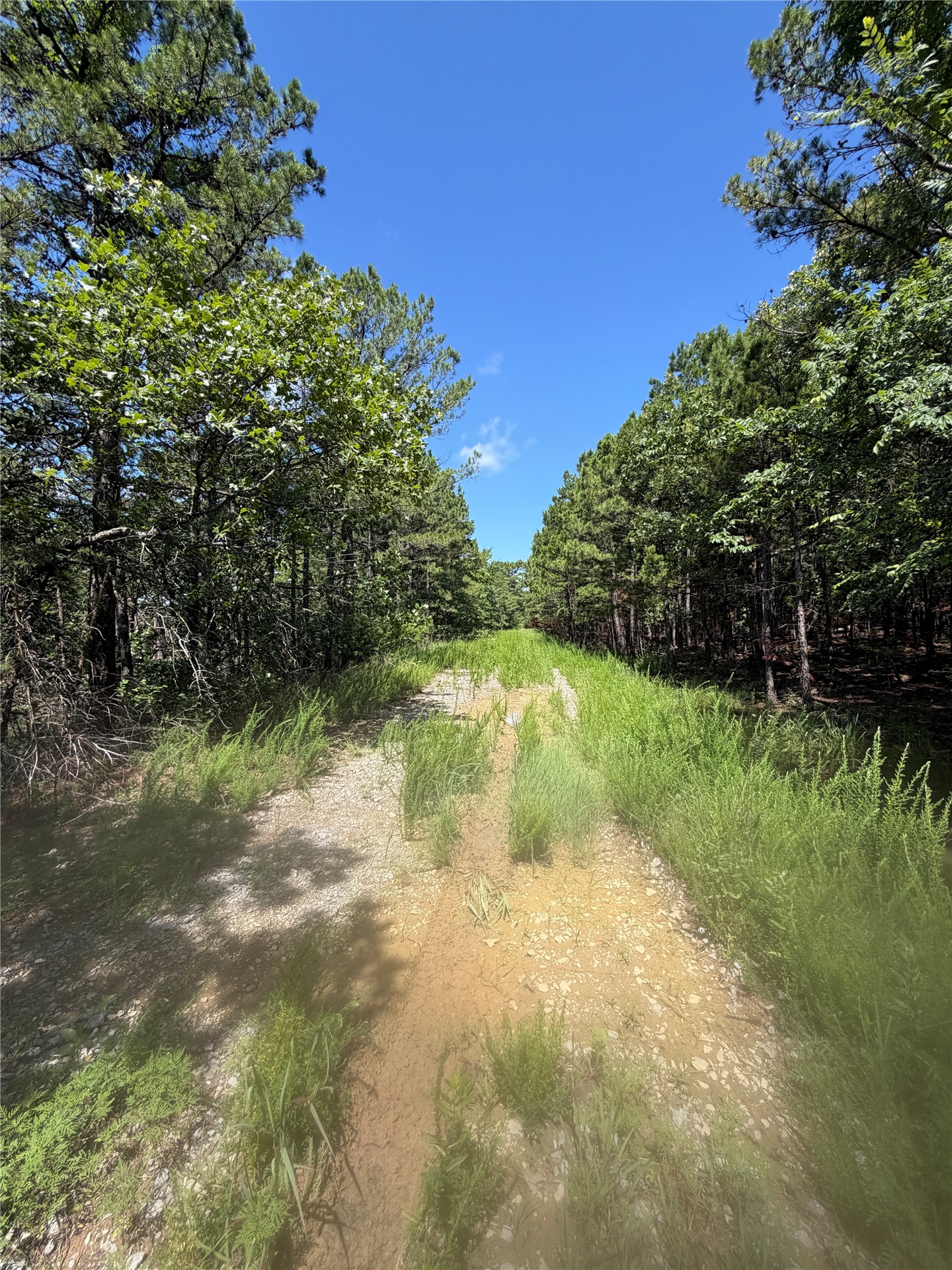 0001 N 417 Road Property Photo 19