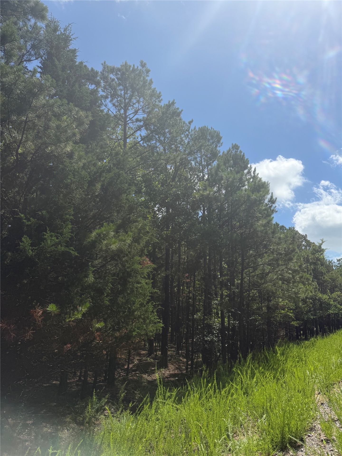 0001 N 417 Road Property Photo 20
