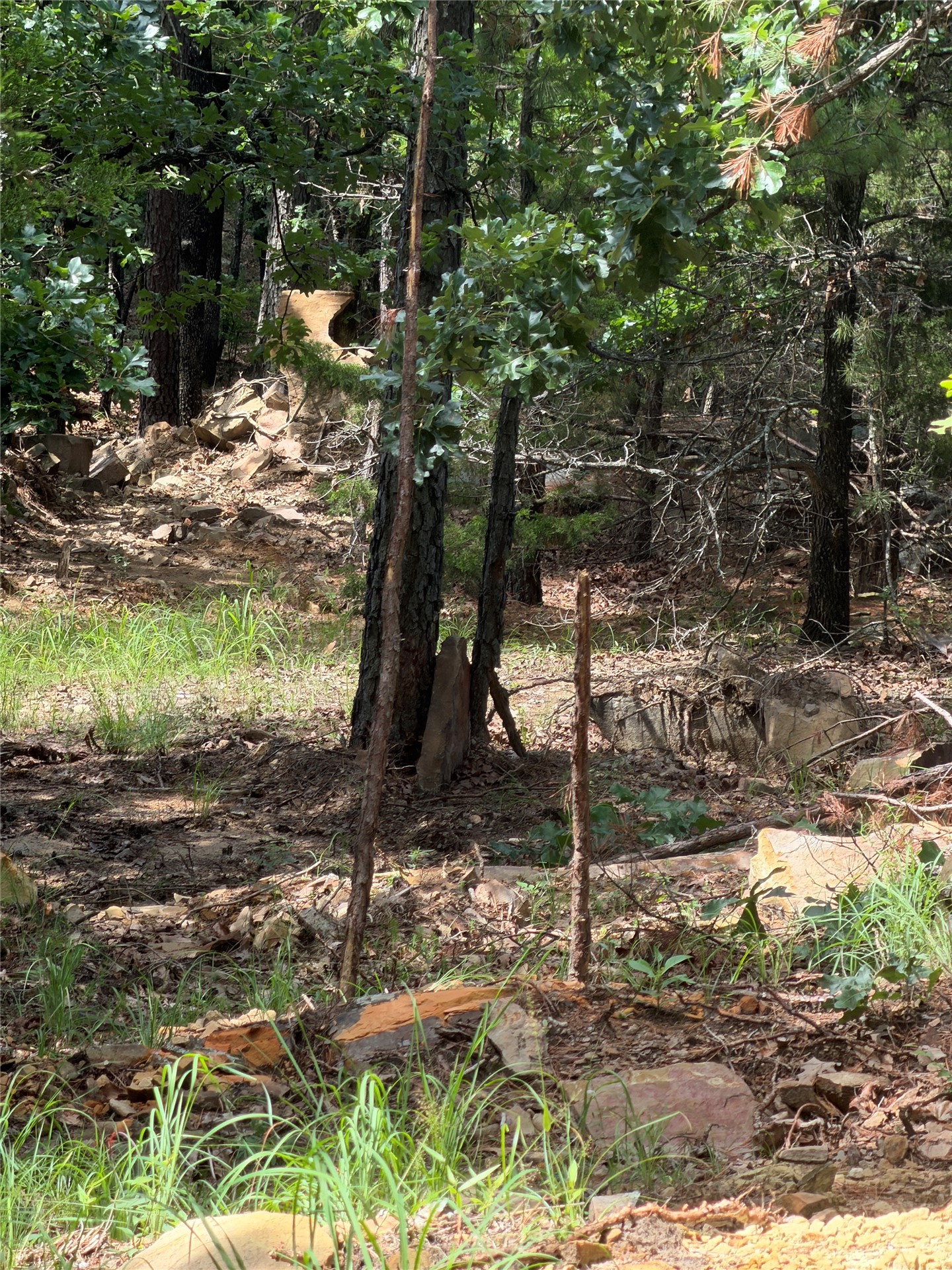 0001 N 417 Road Property Photo 22