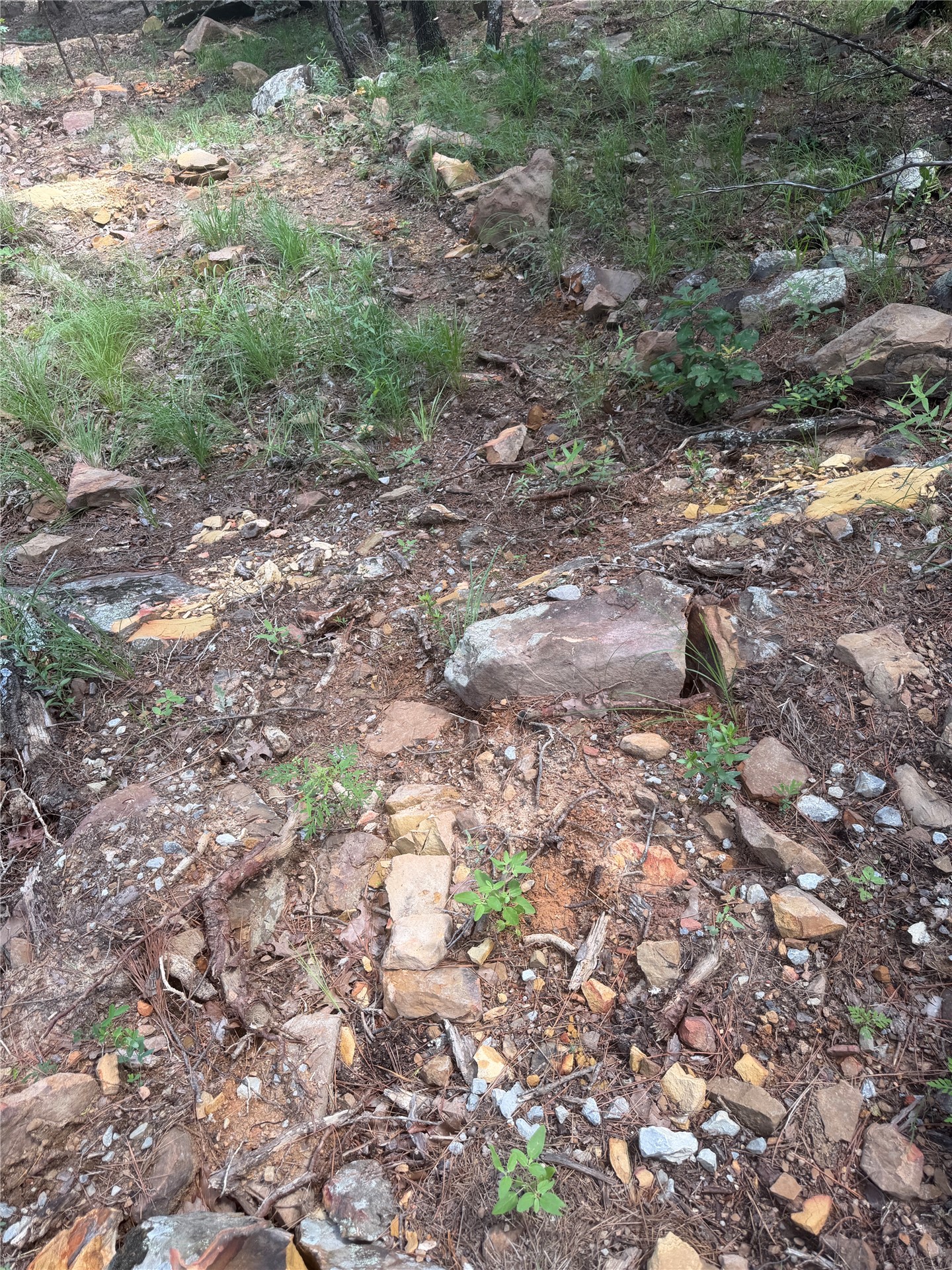 0001 N 417 Road Property Photo 23