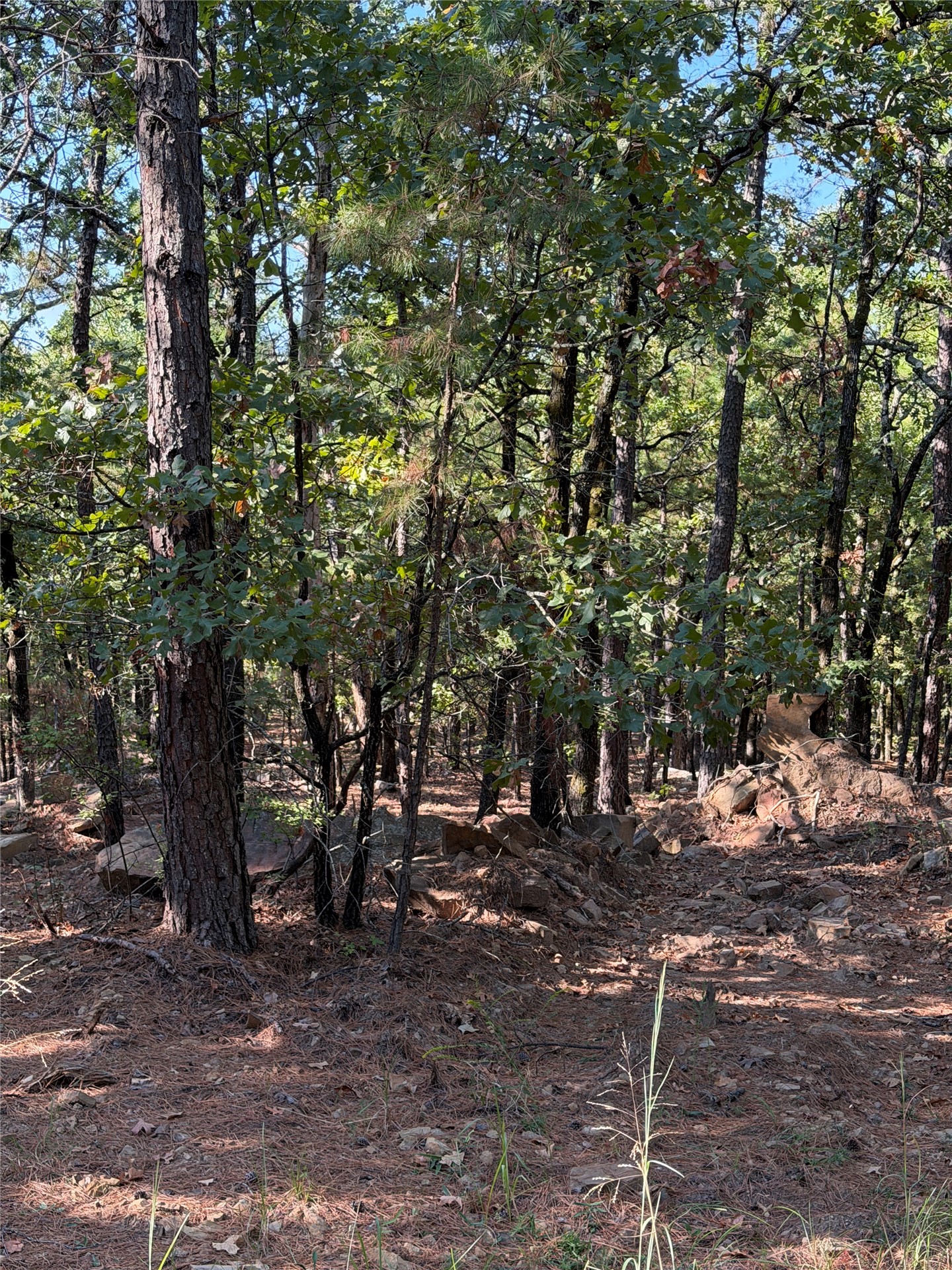0001 N 417 Road Property Photo 28