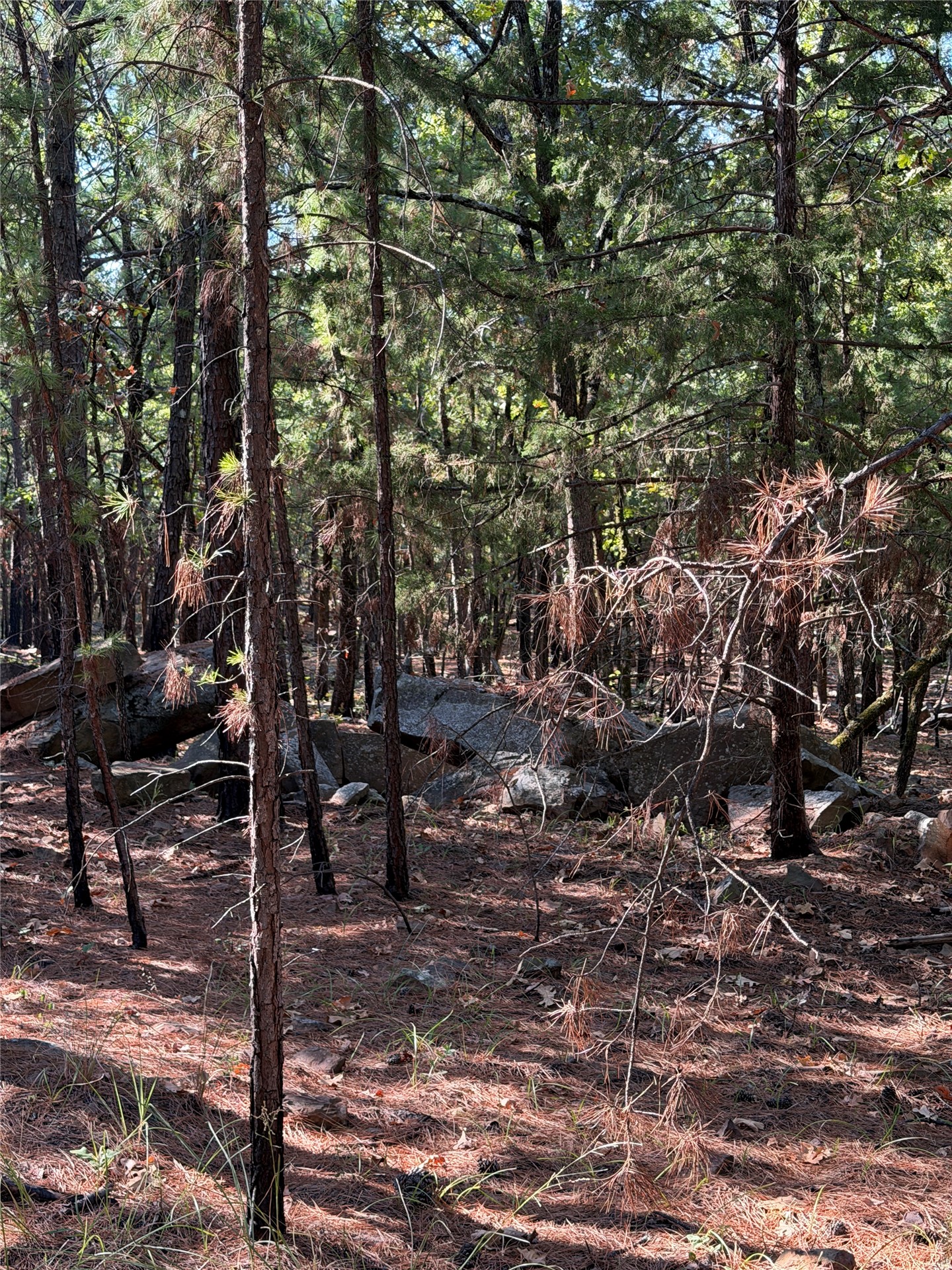 0001 N 417 Road Property Photo 29