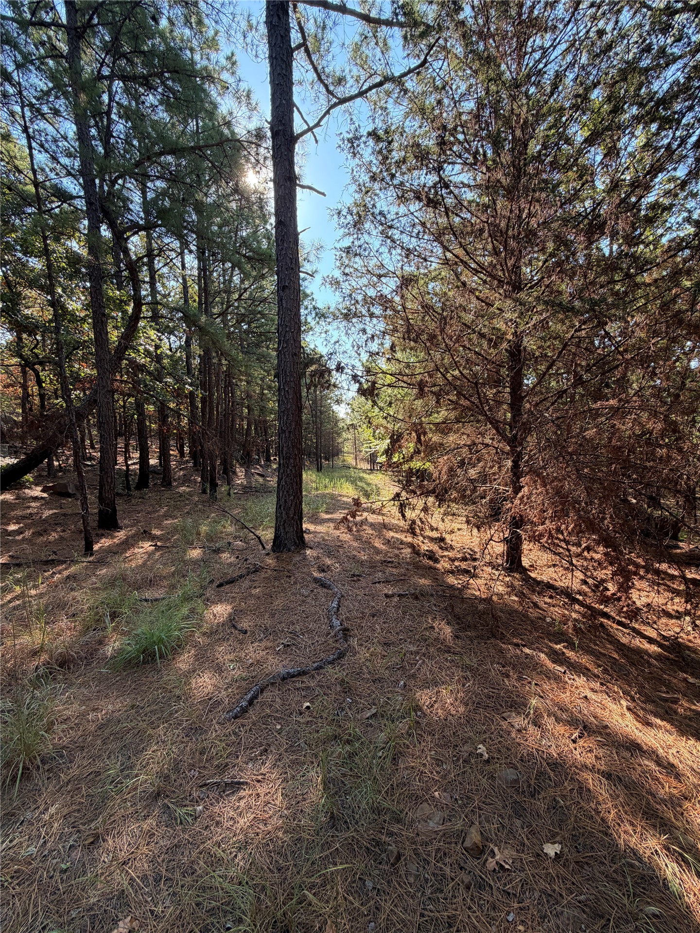 0001 N 417 Road Property Photo 31