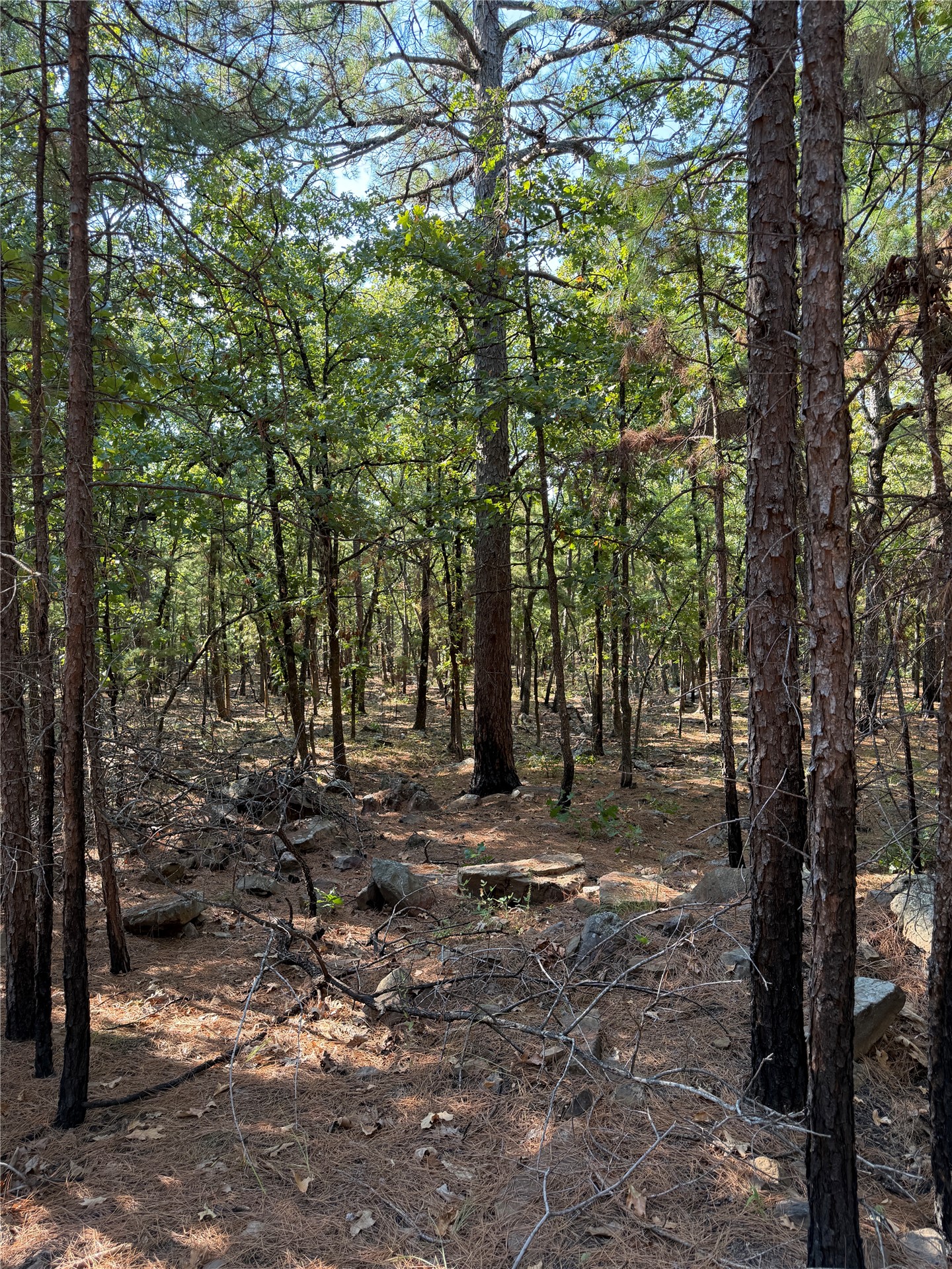 0001 N 417 Road Property Photo 34