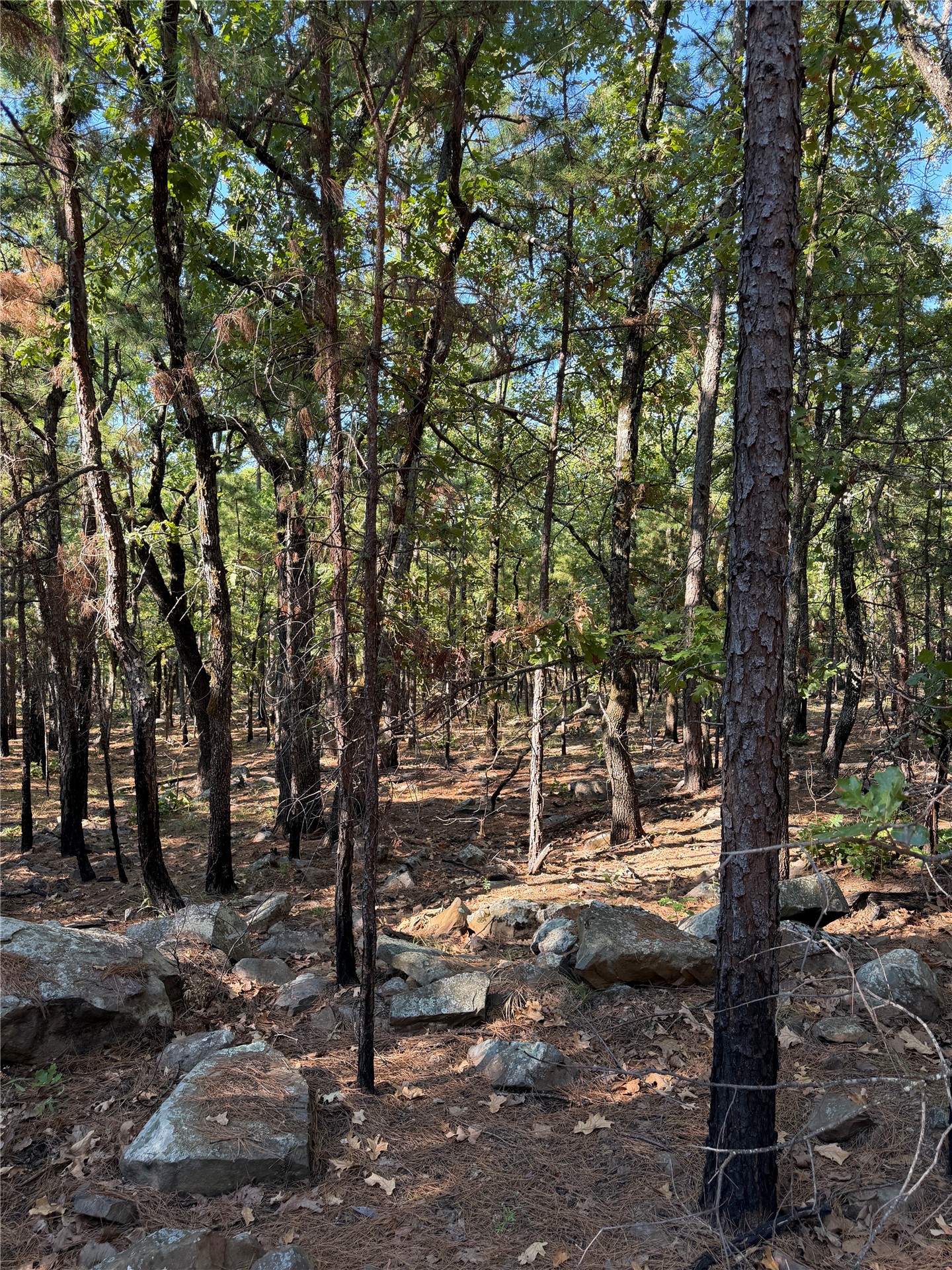 0001 N 417 Road Property Photo 35