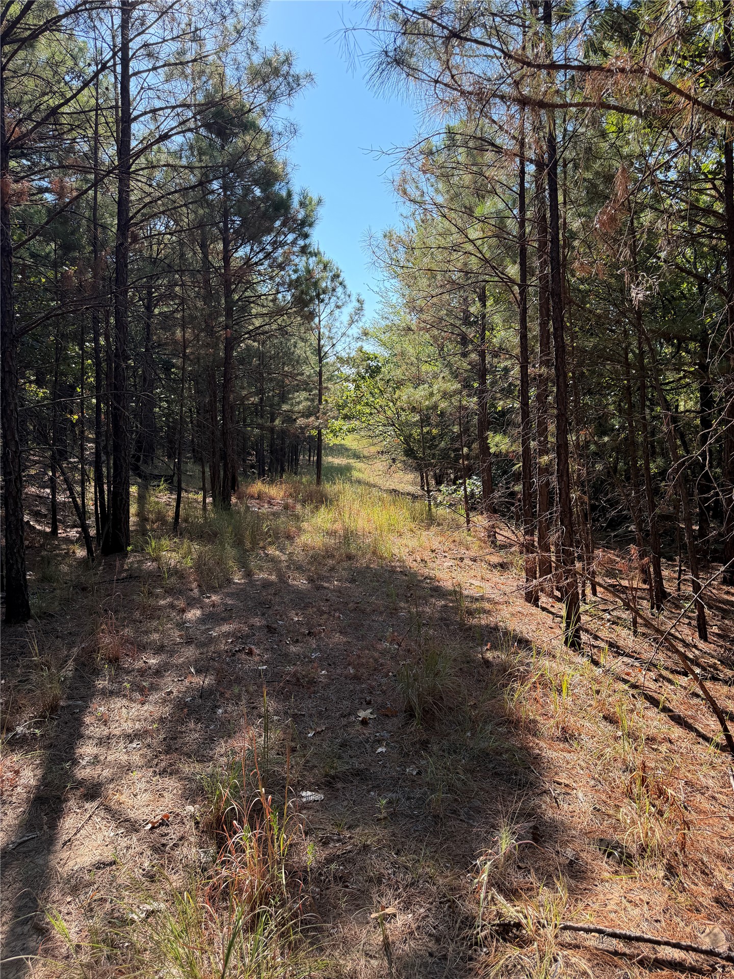 0001 N 417 Road Property Photo 36