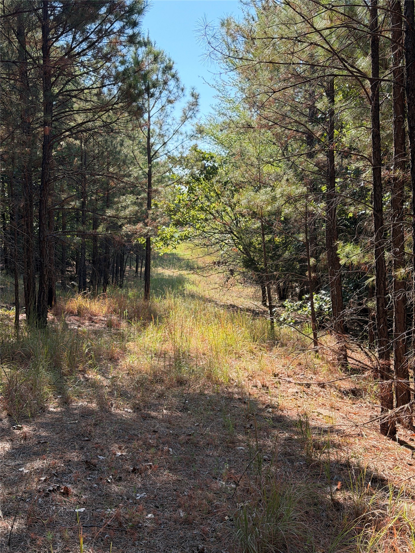 0001 N 417 Road Property Photo 37