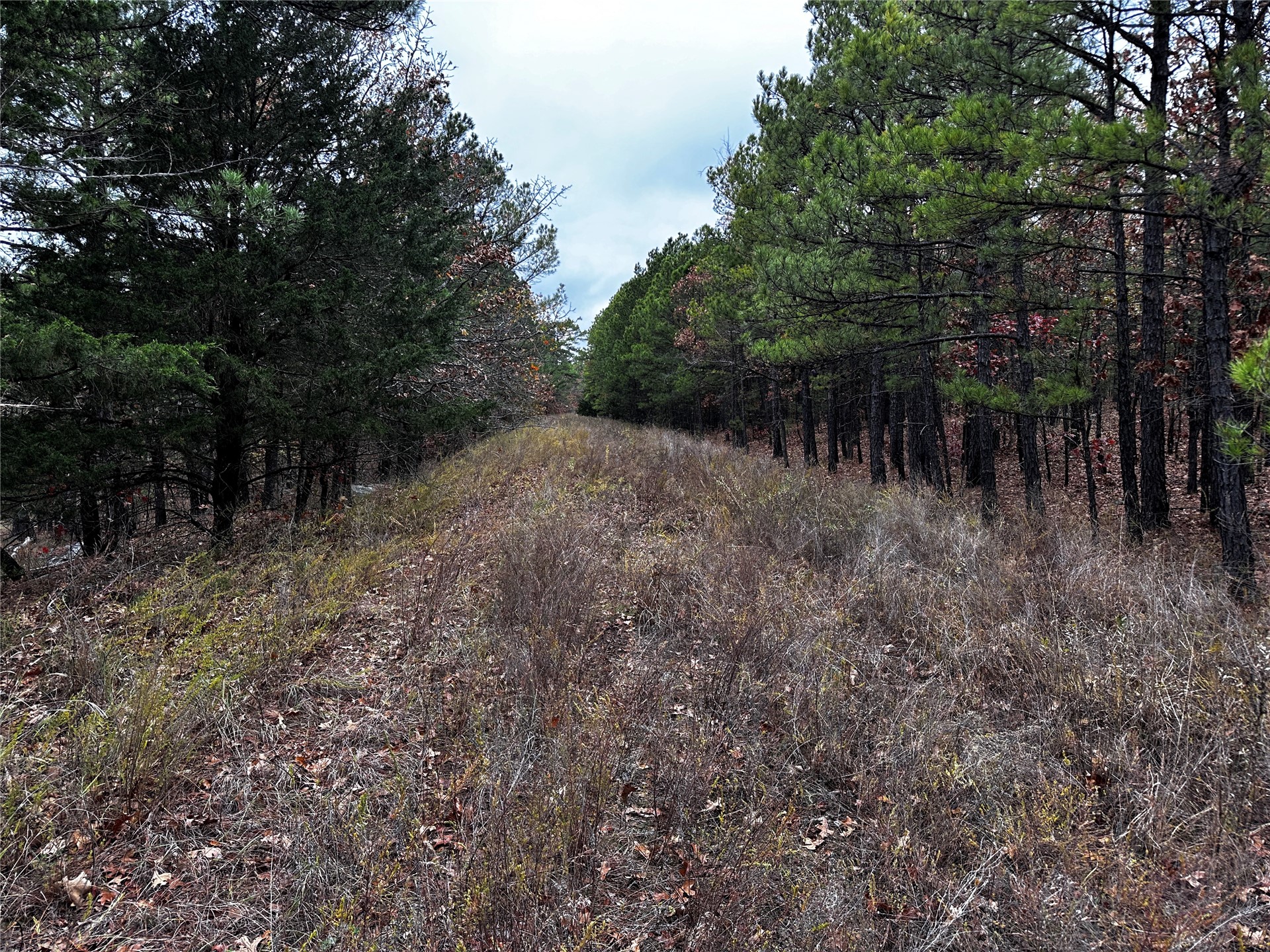 0001 N 417 Road Property Photo 38