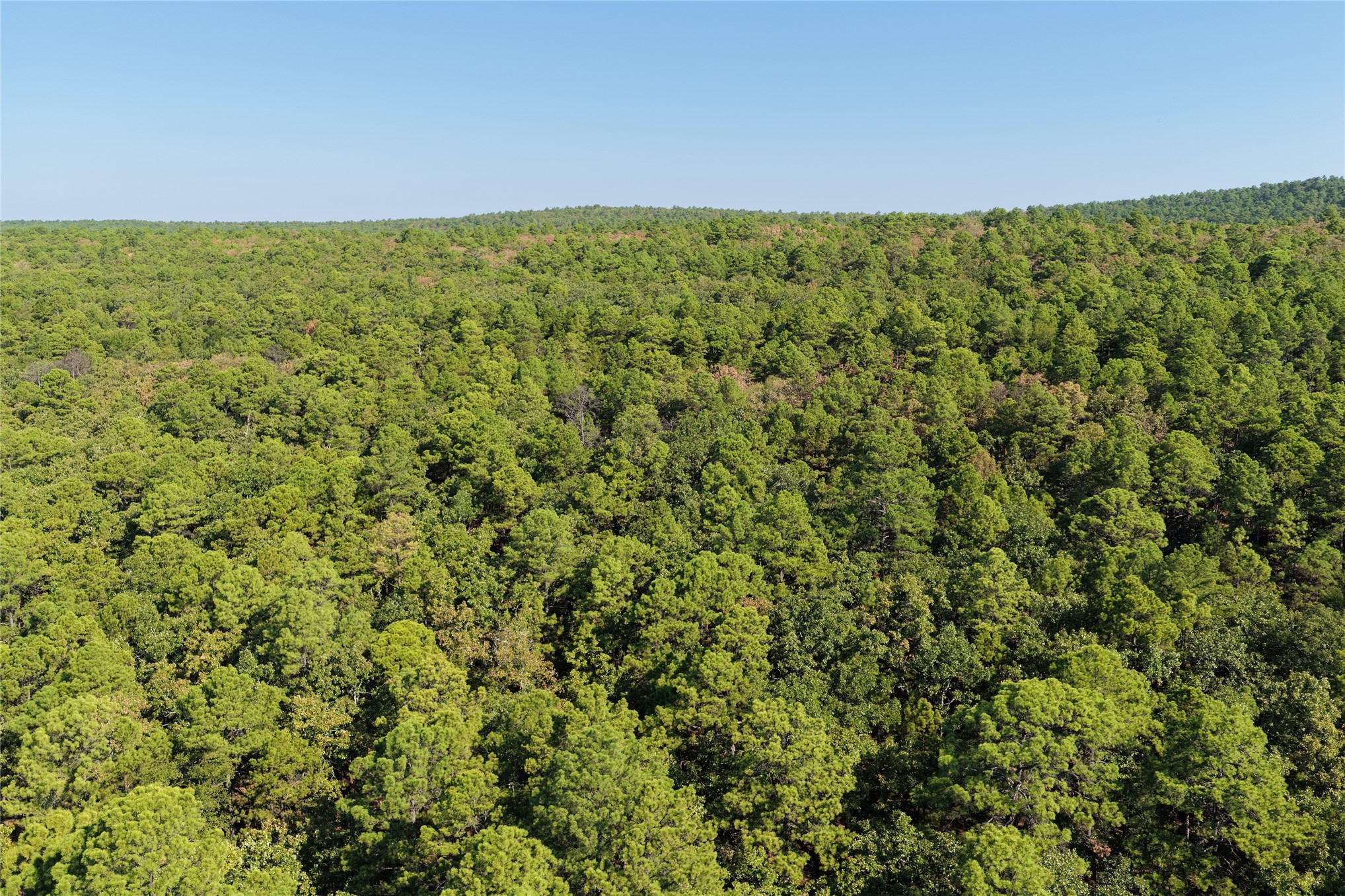 0001 N 417 Road Property Photo 62