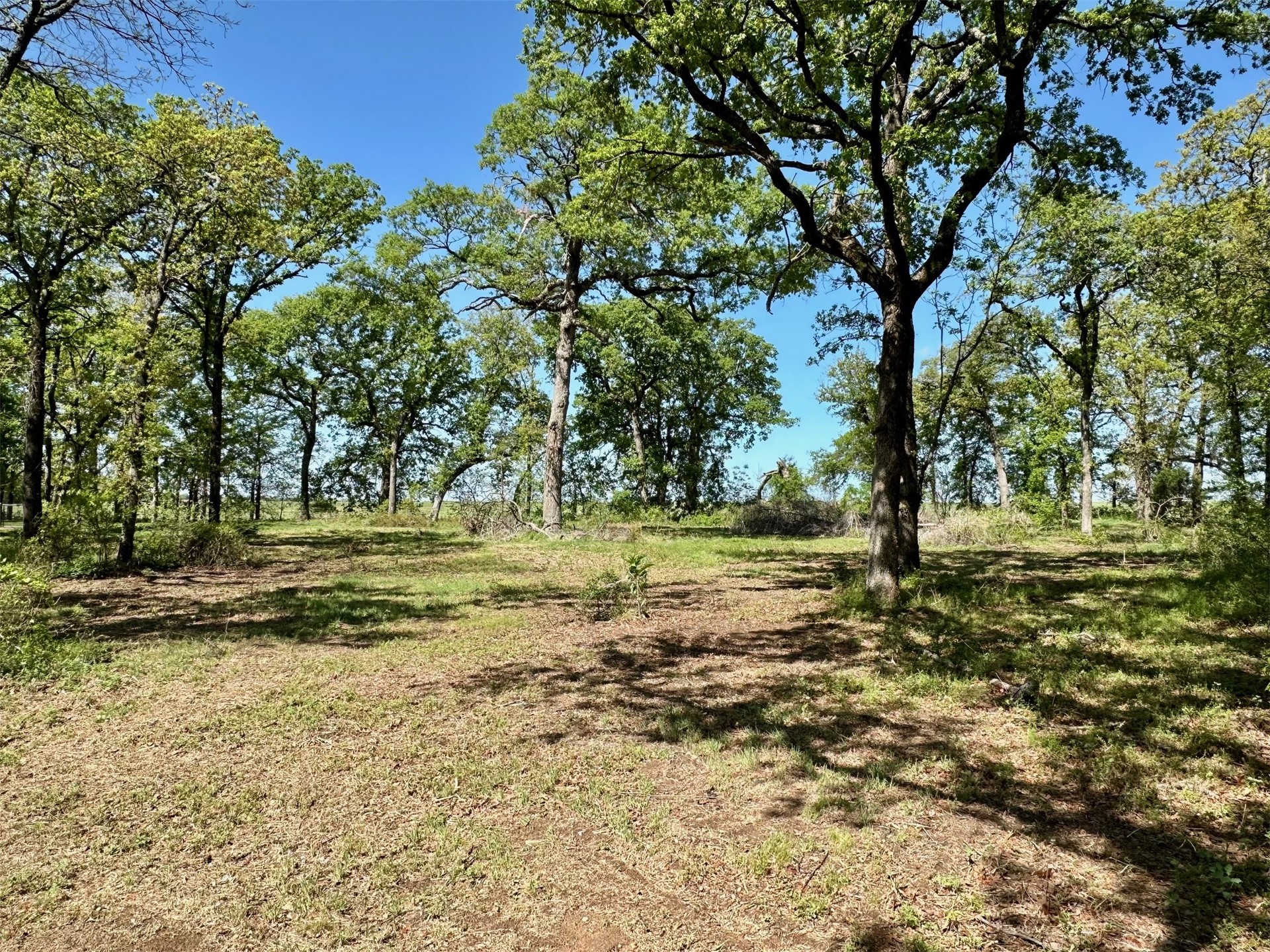 12244 Longboard Loop Property Photo 1