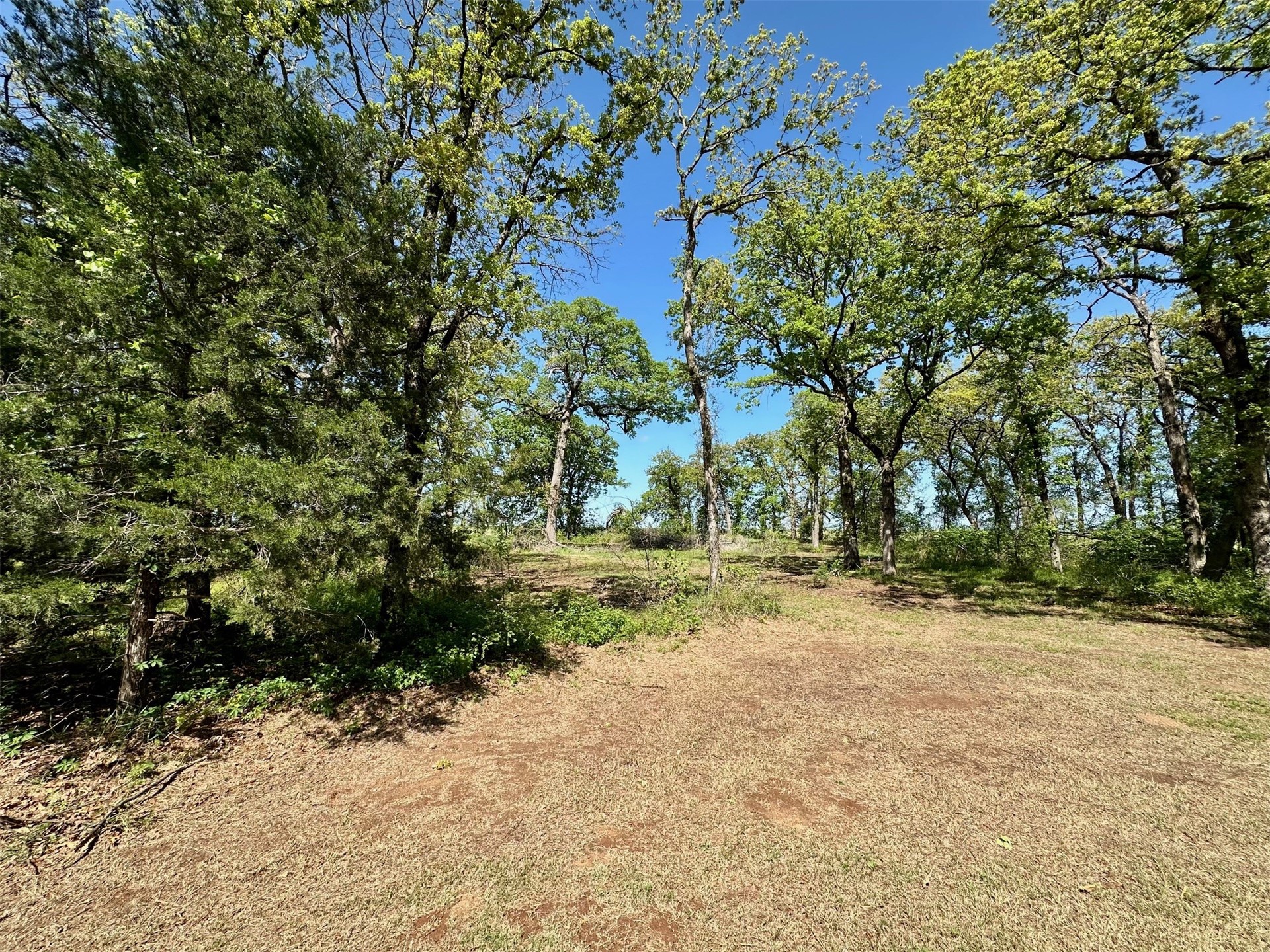 12244 Longboard Loop Property Photo 2