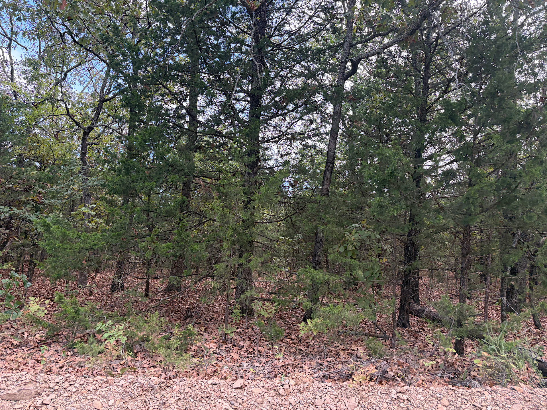 S 4485 Road Property Photo 2