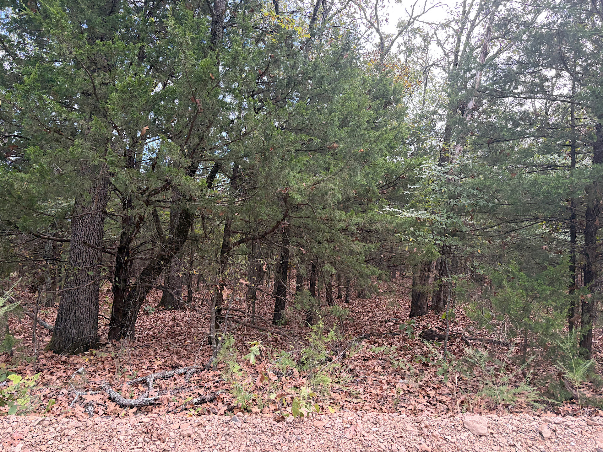 S 4485 Road Property Photo 3