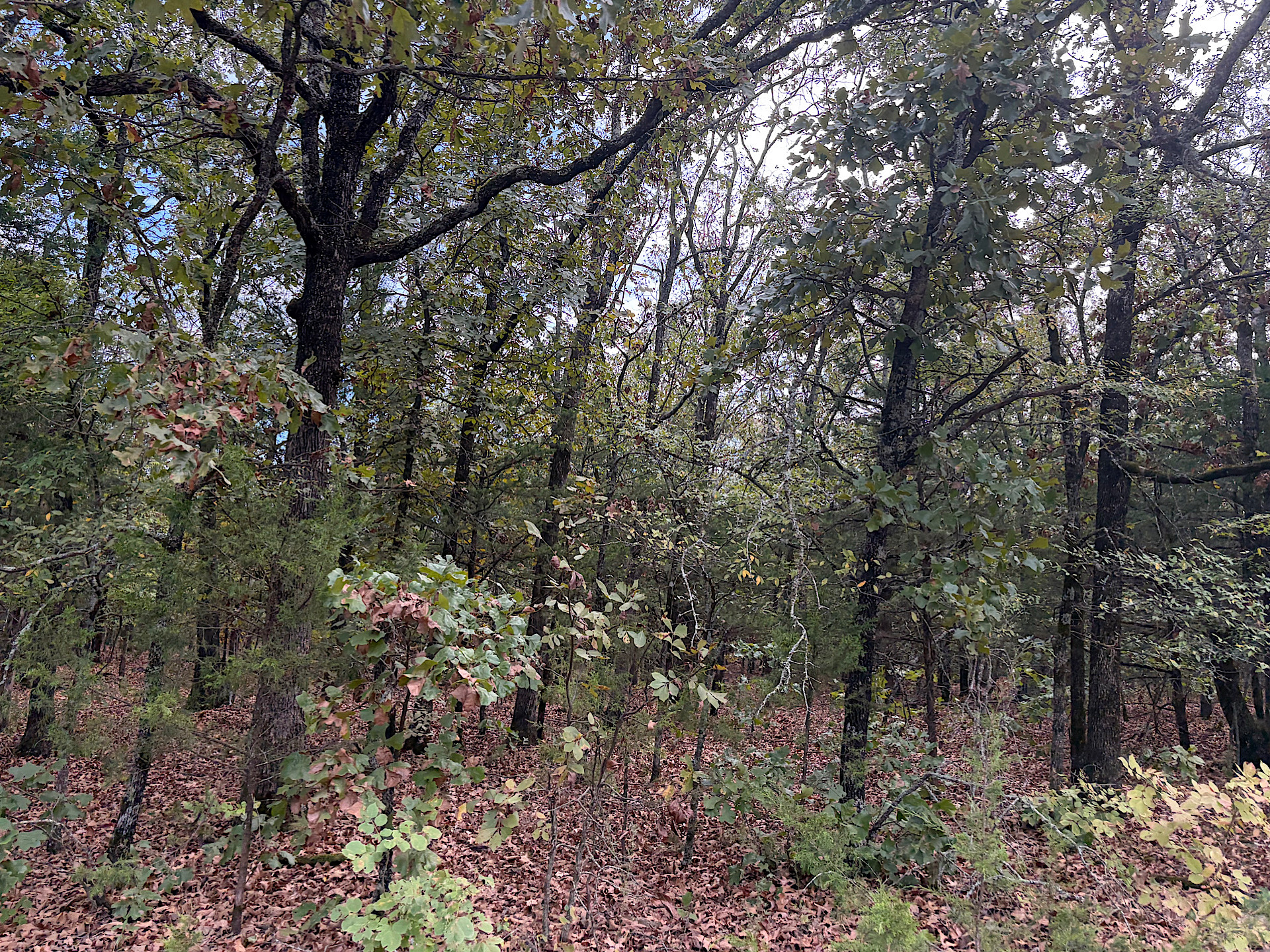 S 4485 Road Property Photo 4