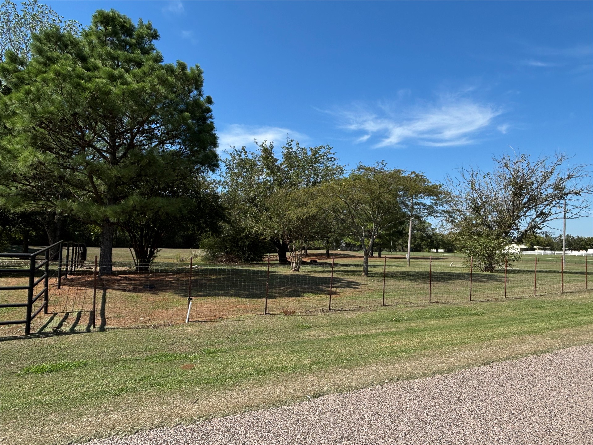 193 Kirsey Road Property Photo 14