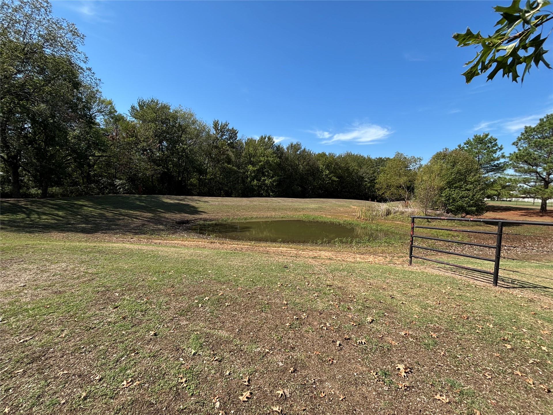 193 Kirsey Road Property Photo 31