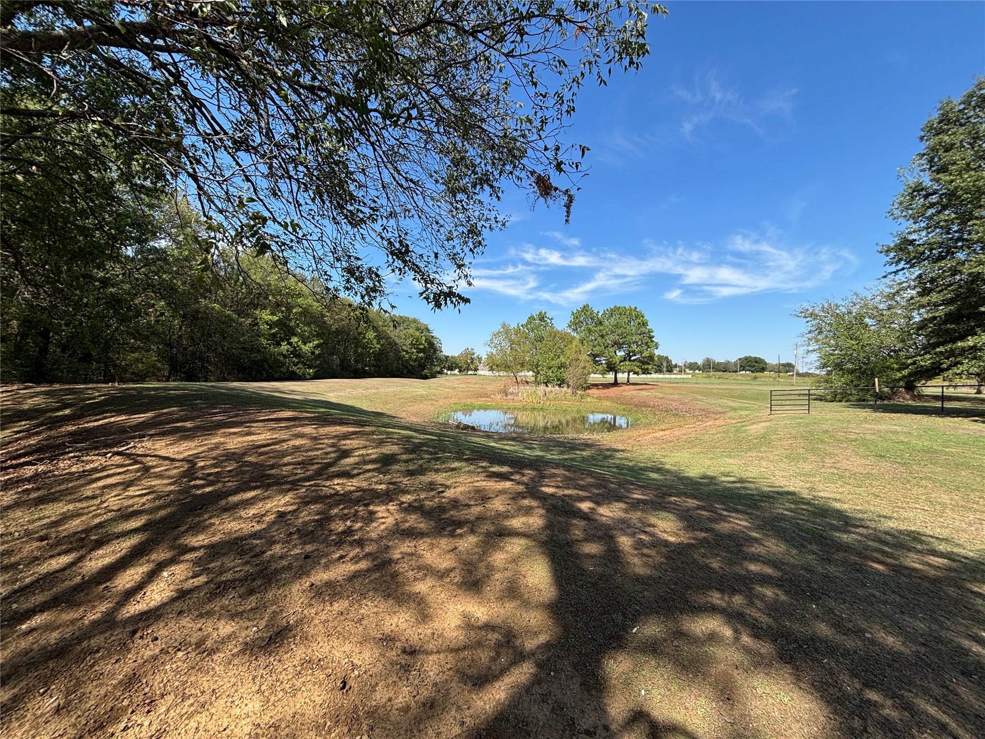 193 Kirsey Road Property Photo 33