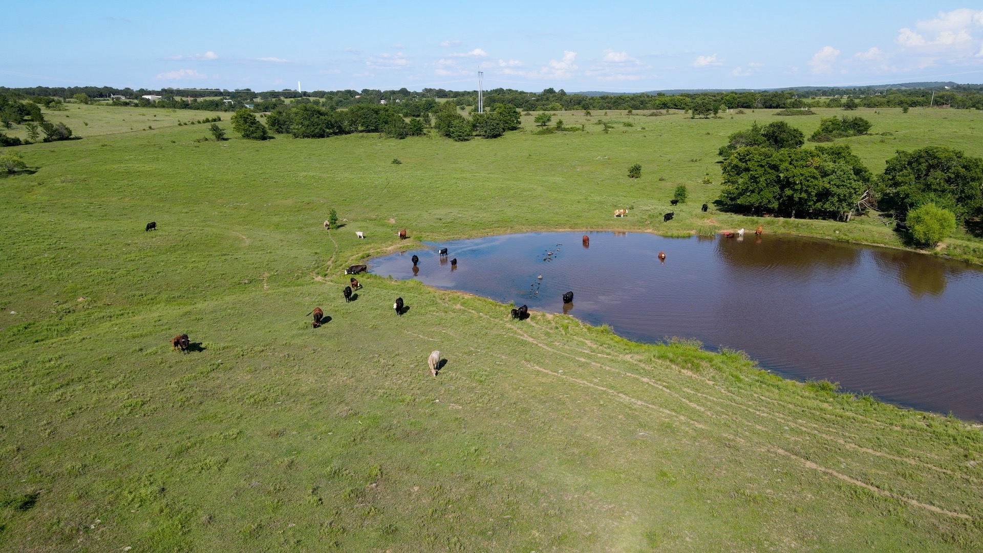 Tannehill Property Photo 1