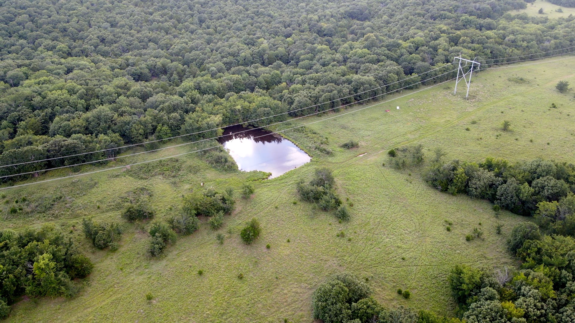 Tannehill Property Photo 4