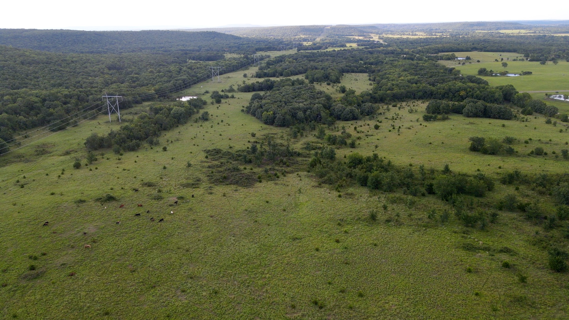 Tannehill Property Photo 6