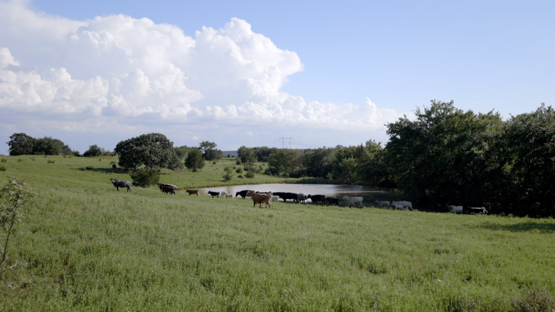 Tannehill Property Photo 11
