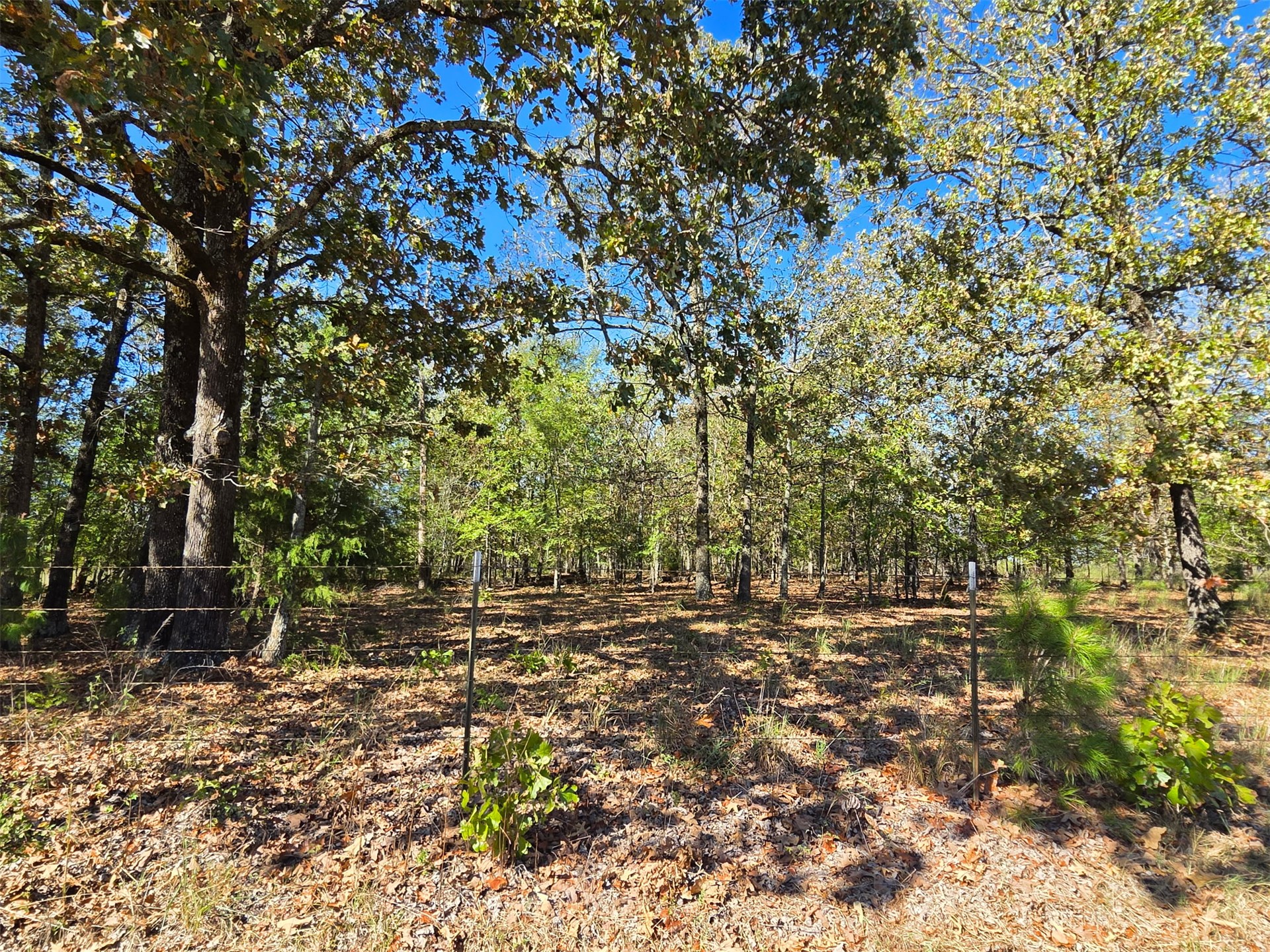 2 Cary Lane Property Photo 1