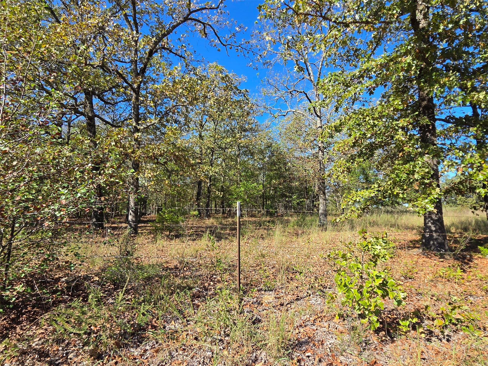 2 Cary Lane Property Photo 2