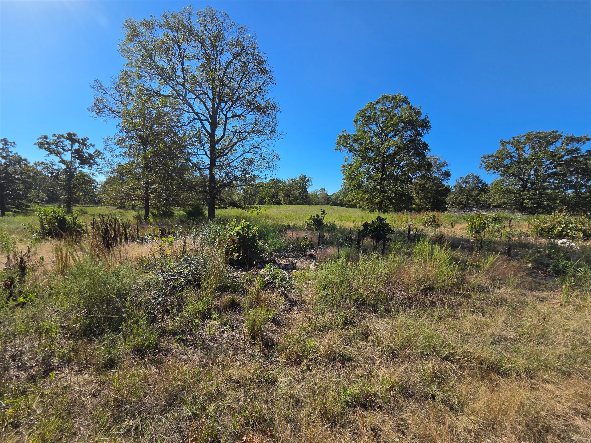 4 Cary Lane Property Photo 1