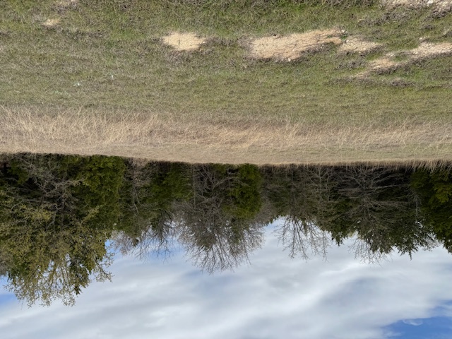 0 Chisholm Property Photo 4