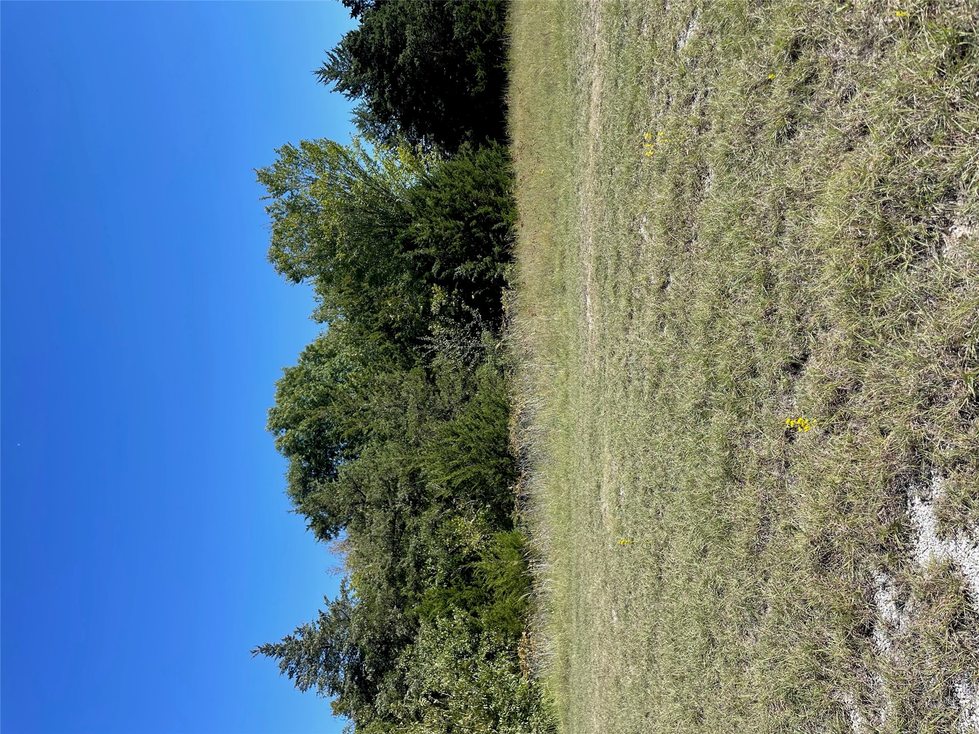 Bonnell Road Property Photo 3