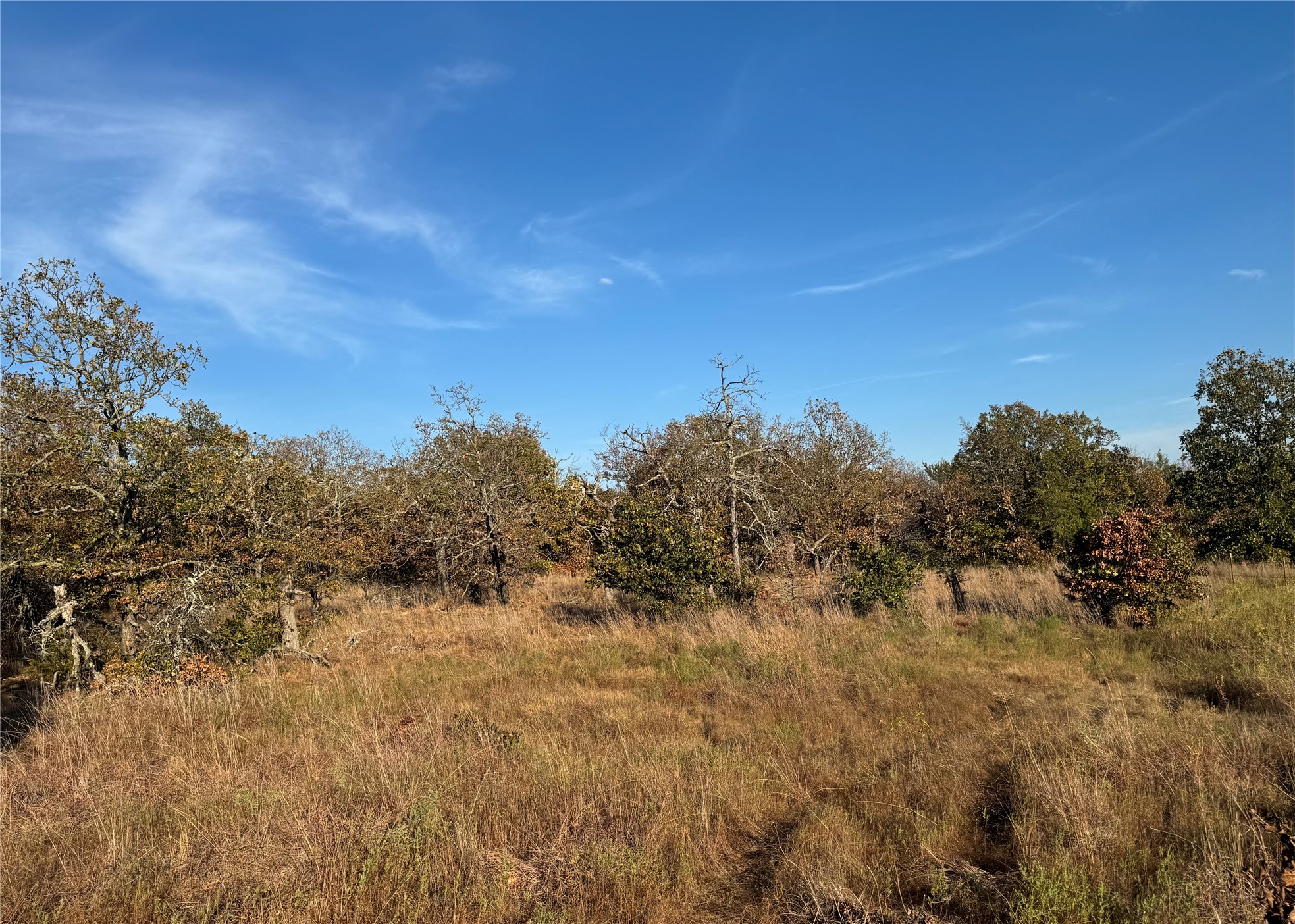 0 Shuman Property Photo 2