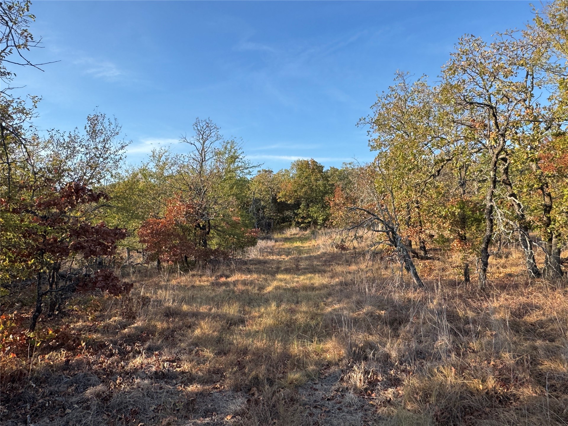 0 Shuman Property Photo 3