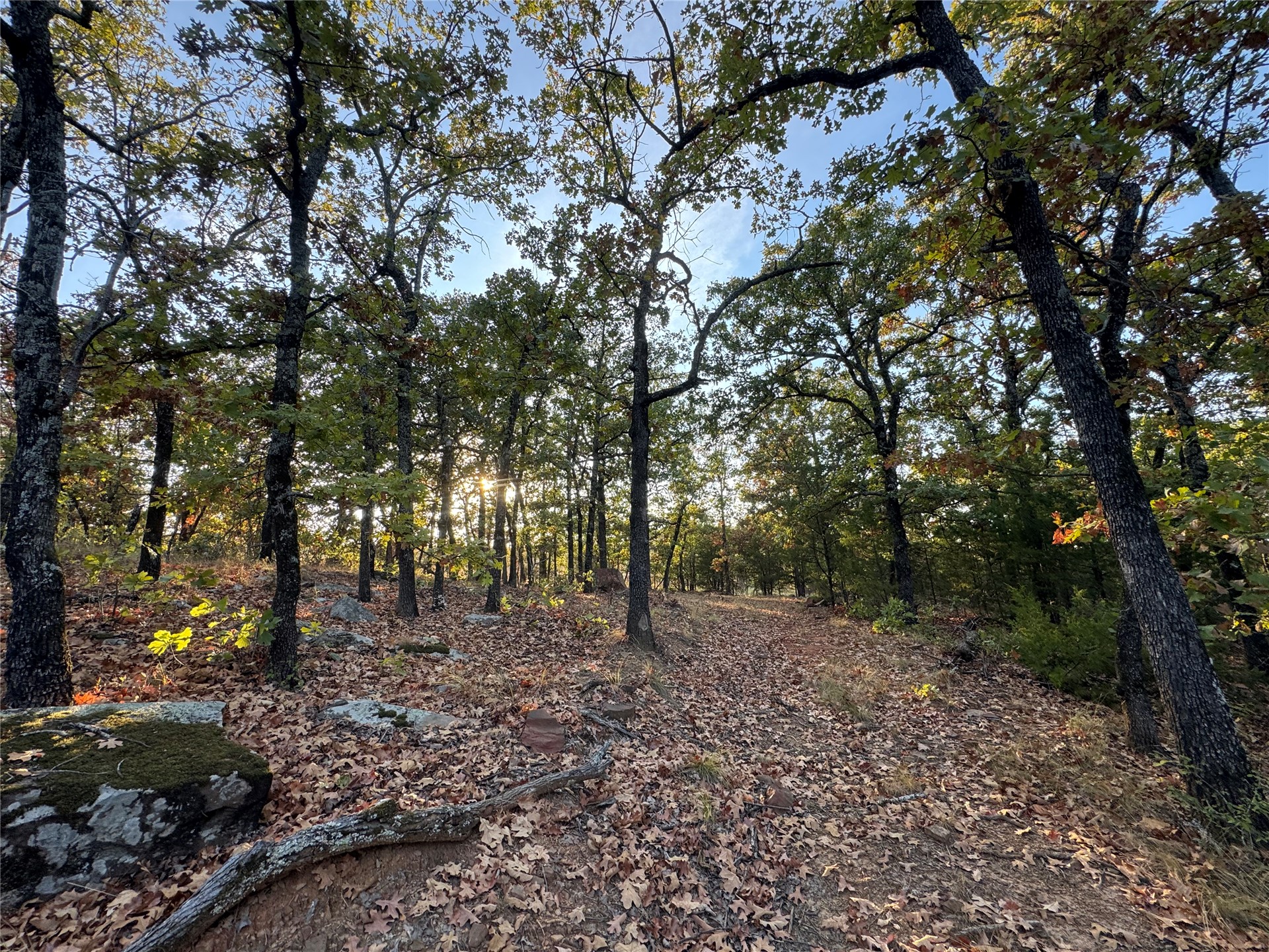 0 Shuman Property Photo 4