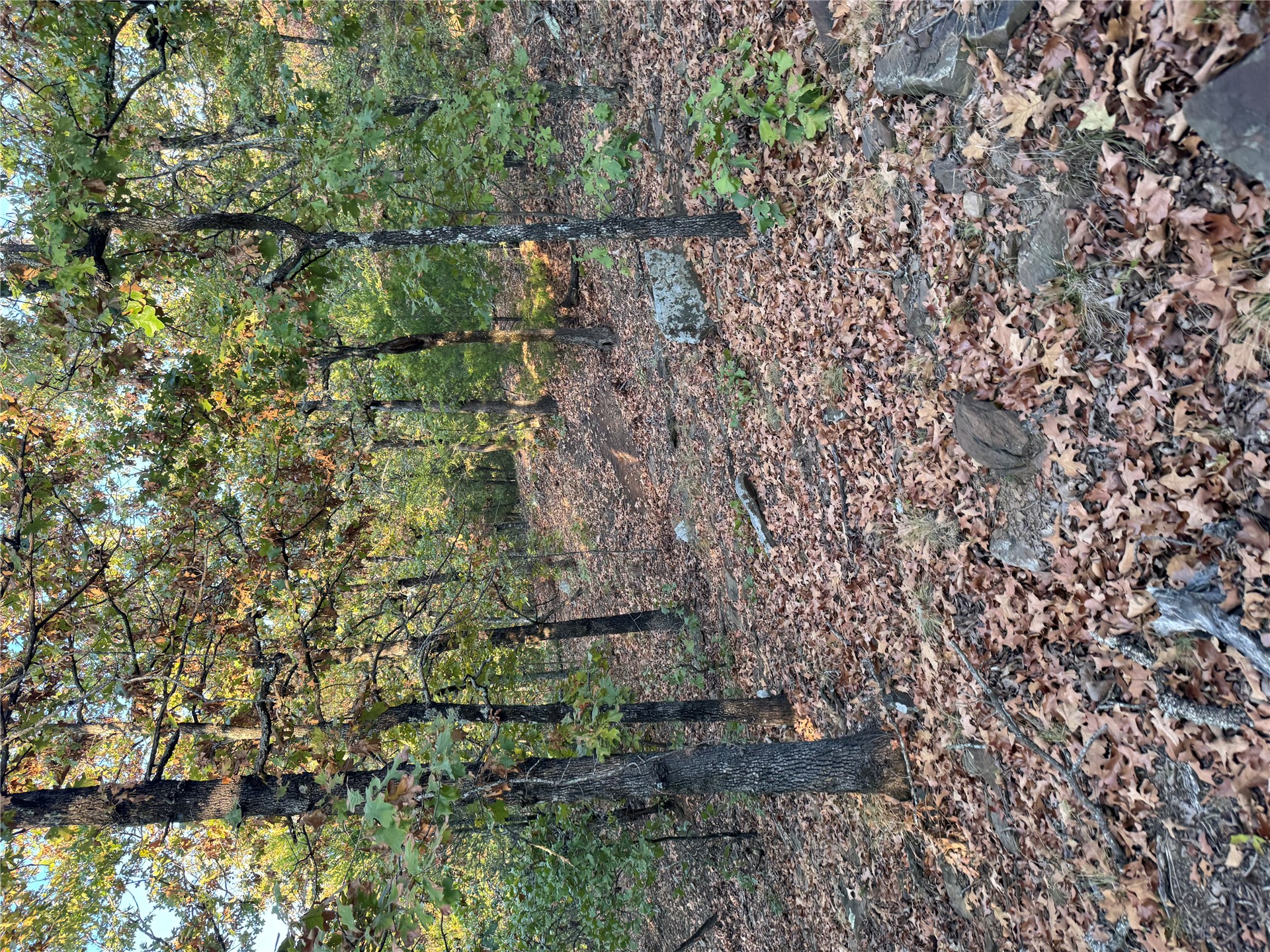 0 Shuman Property Photo 6