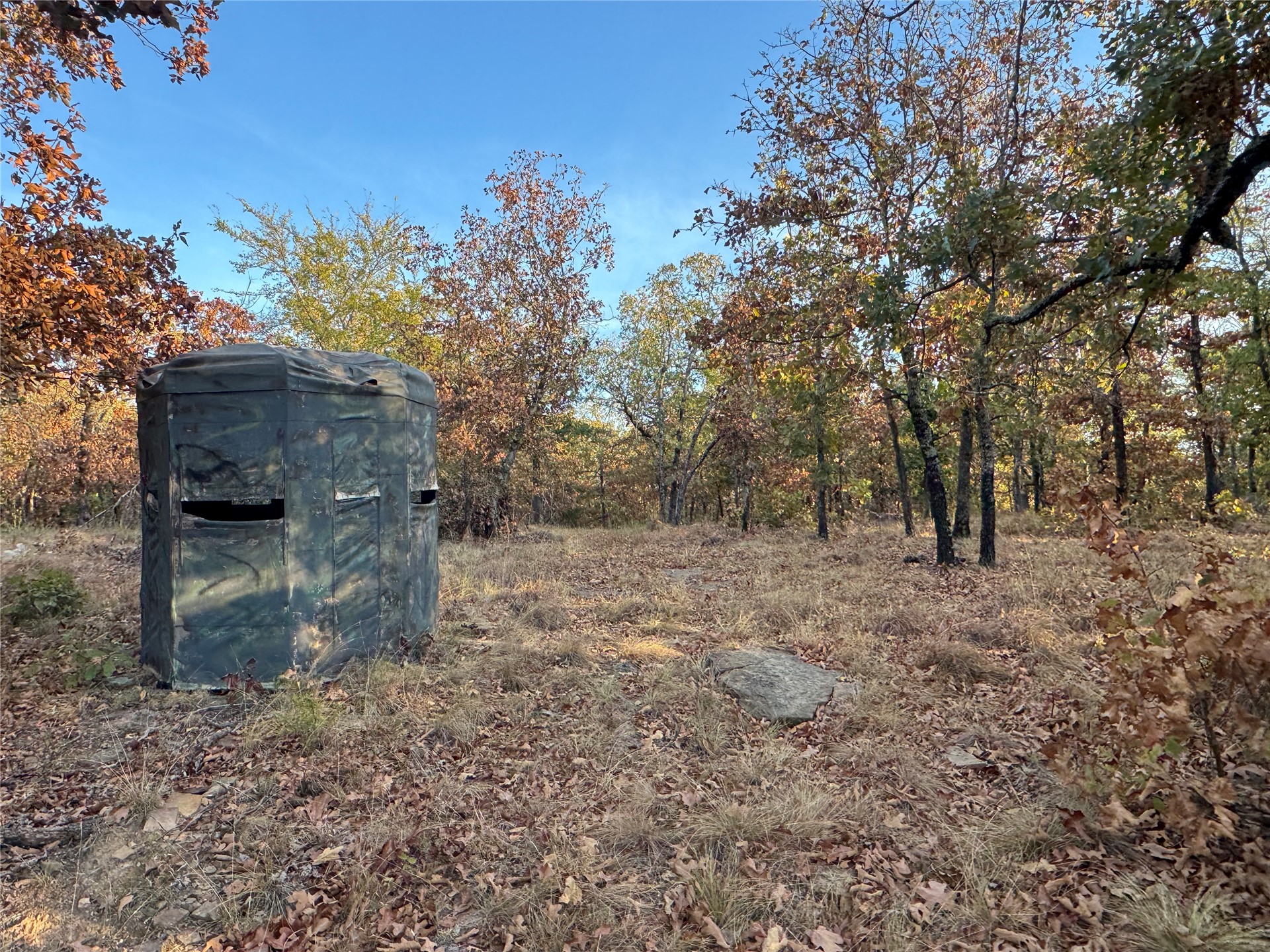 0 Shuman Property Photo 7