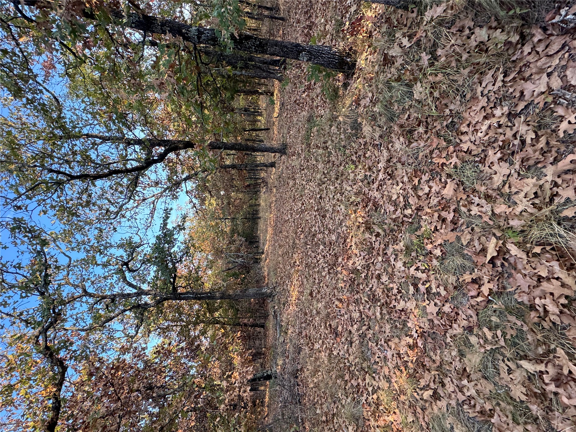0 Shuman Property Photo 8