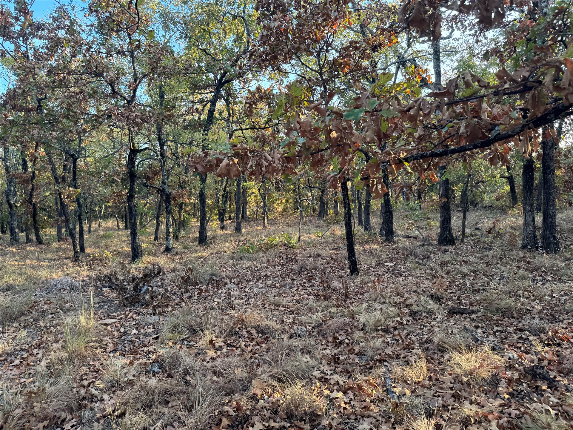 0 Shuman Property Photo 9