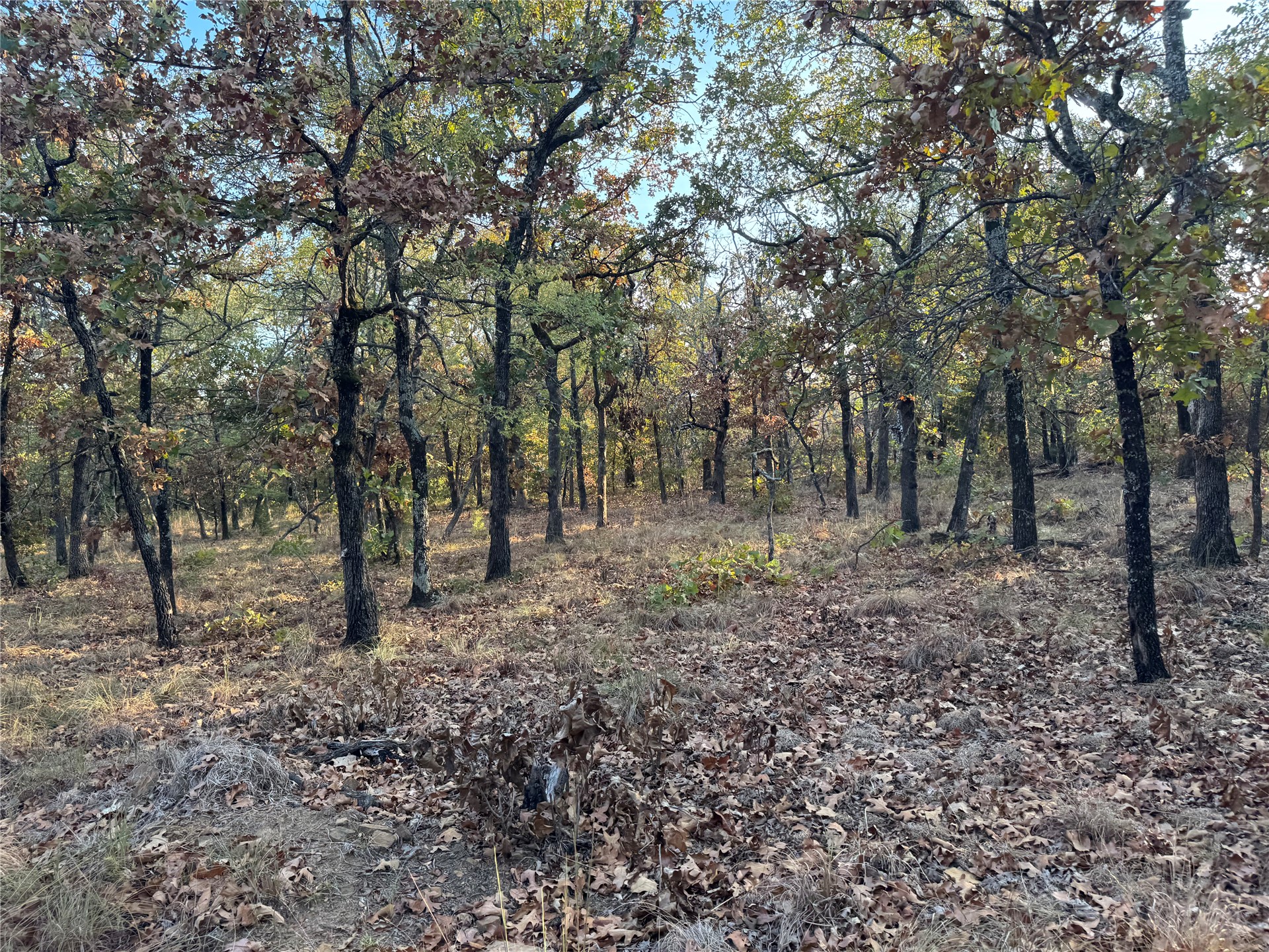 0 Shuman Property Photo 10