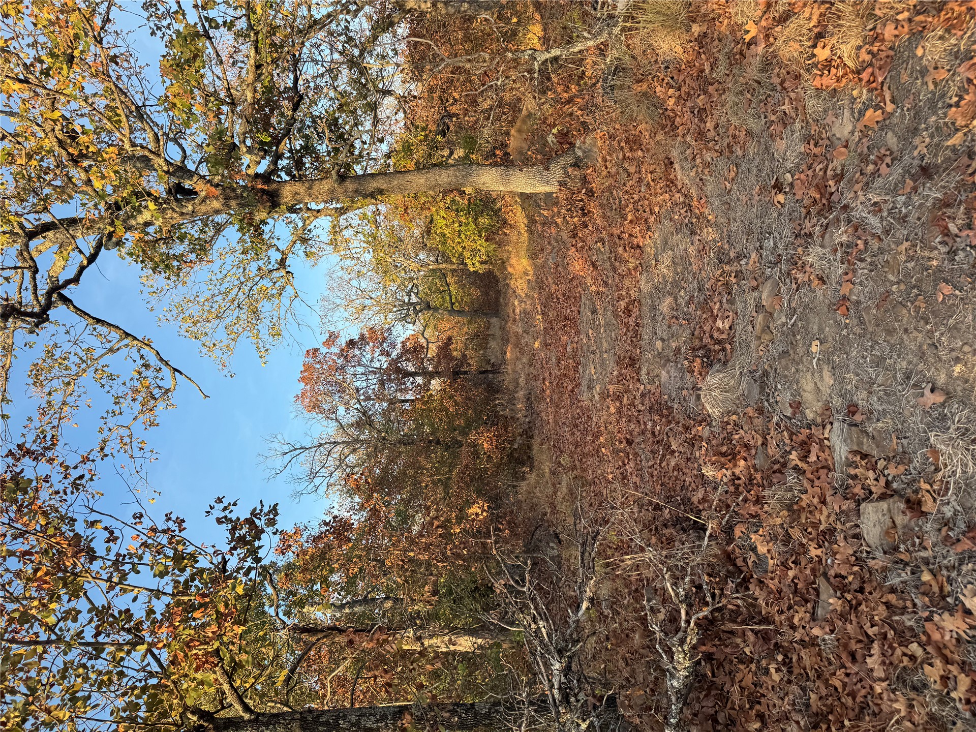 0 Shuman Property Photo 11